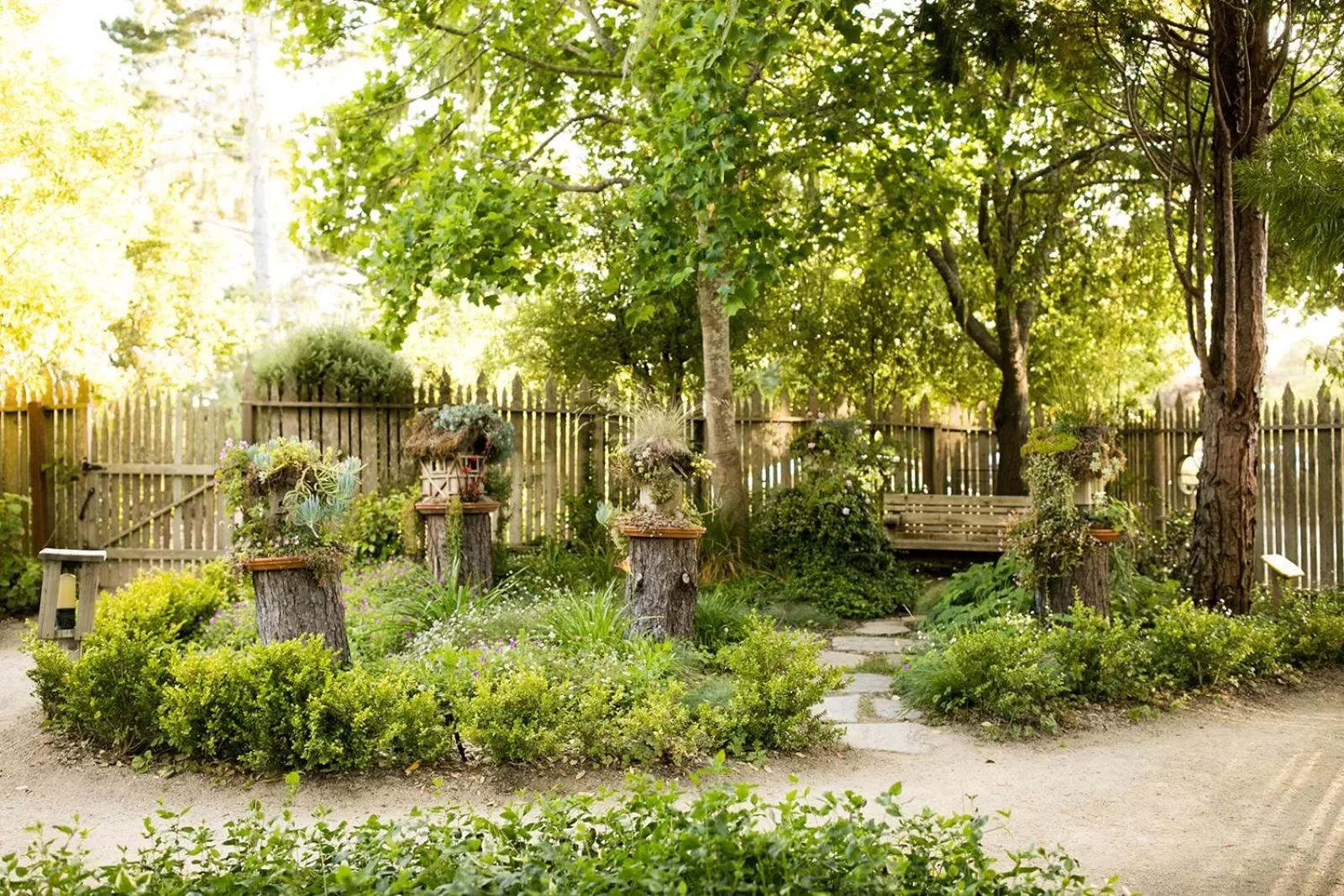 Garden in Cambria Pines Lodge