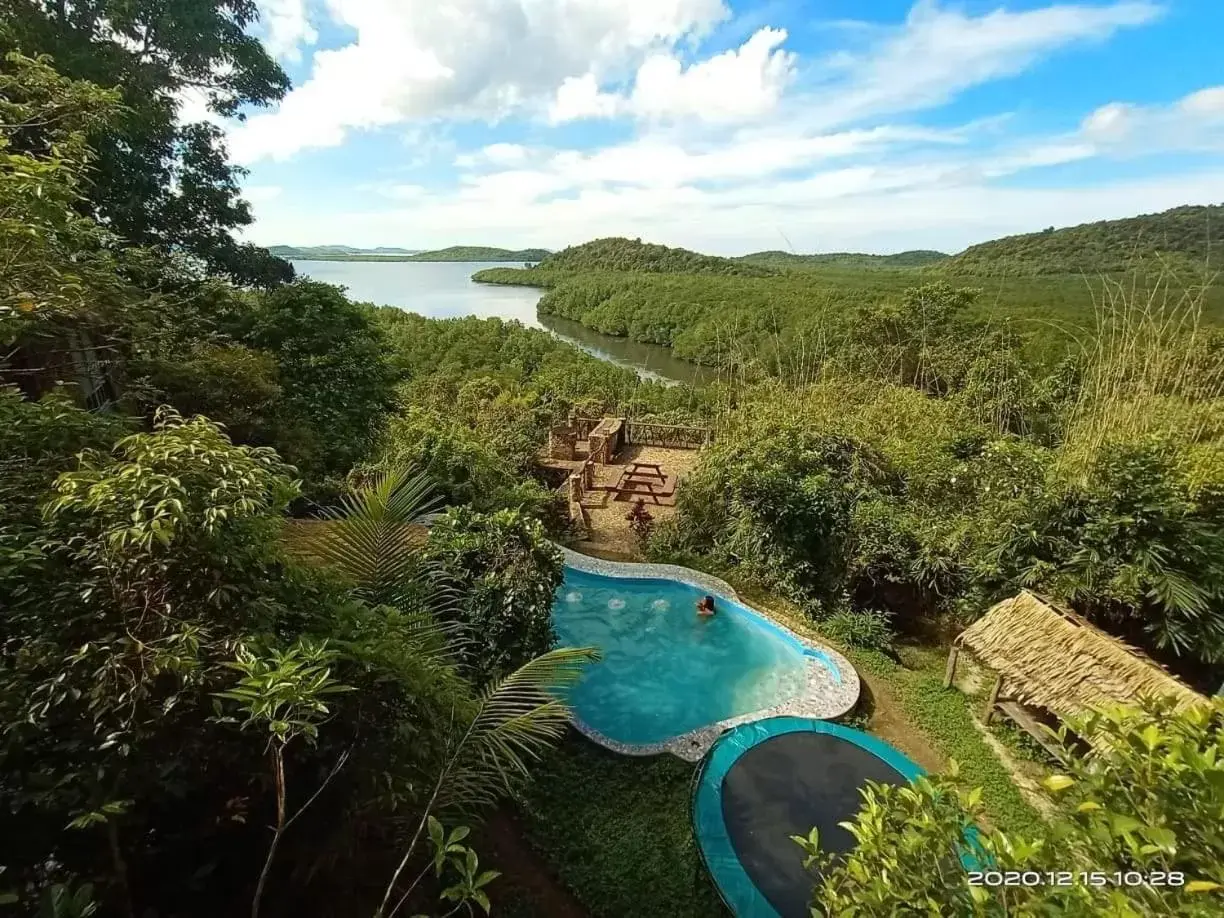 Pool View in Sanctuaria Treehouses Busuanga