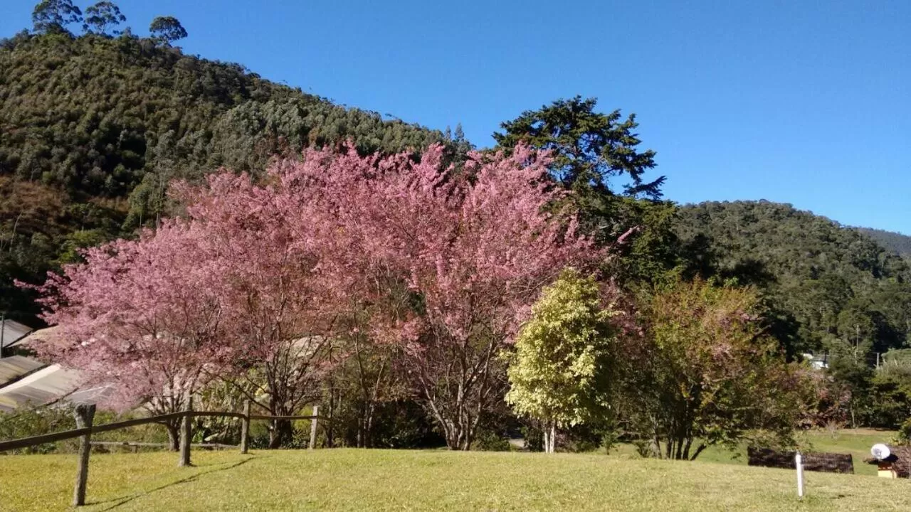 Natural landscape in Pousada Mariza