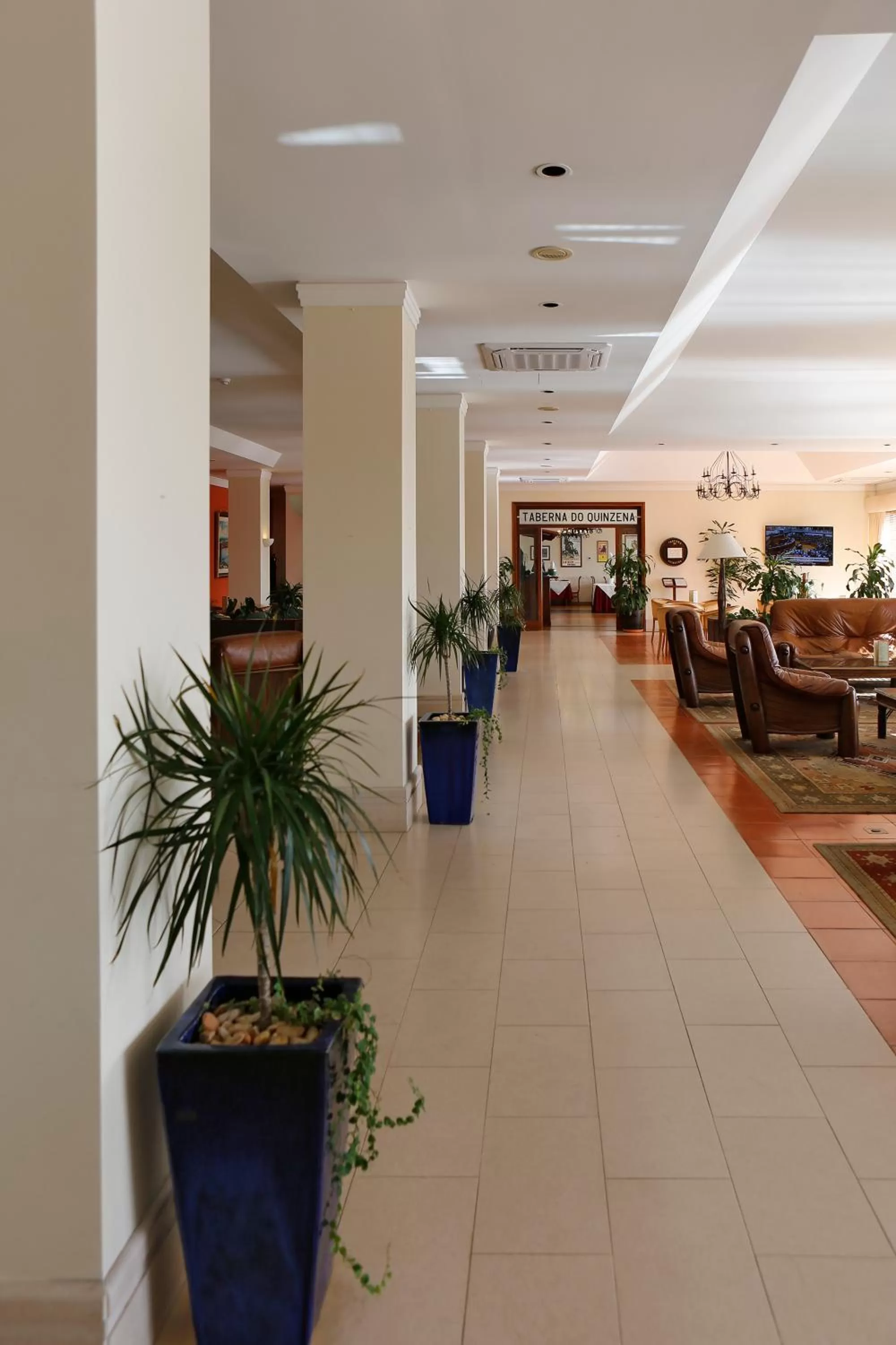 Living room in Verdi Santarém