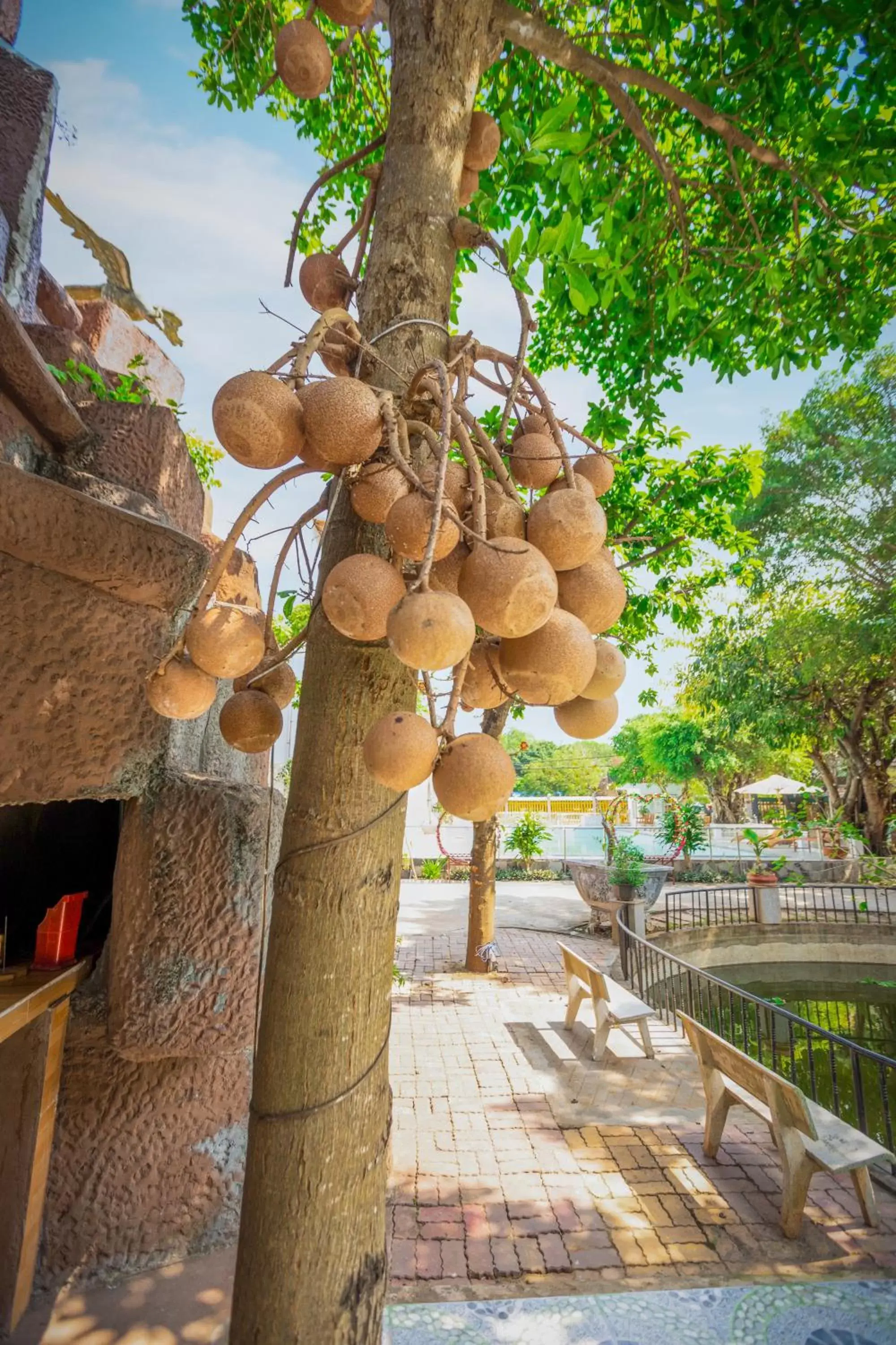 Property building in Caroline Resort Property building in Caroline Resort