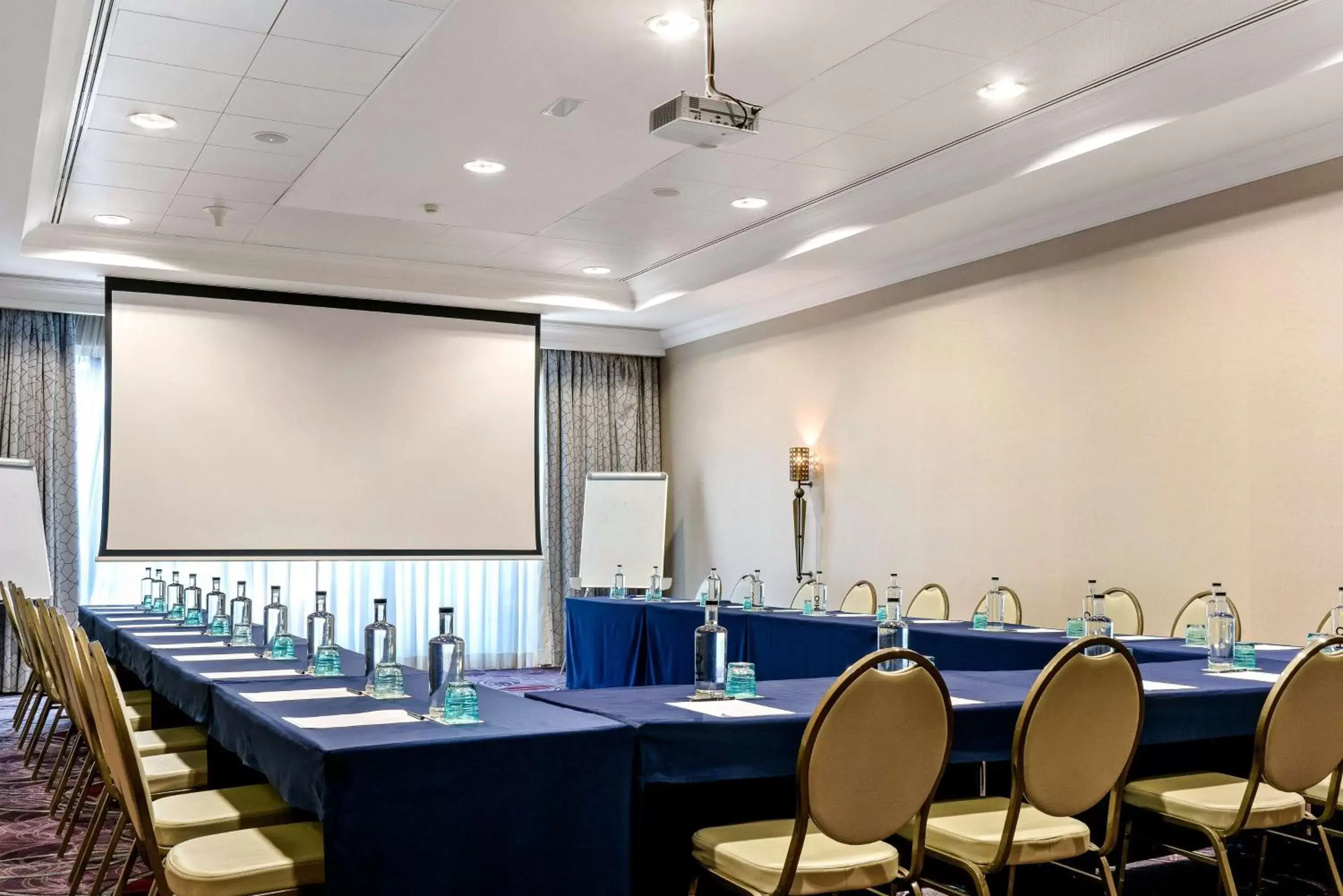 Meeting/conference room in Hilton Cabo Verde Sal Resort