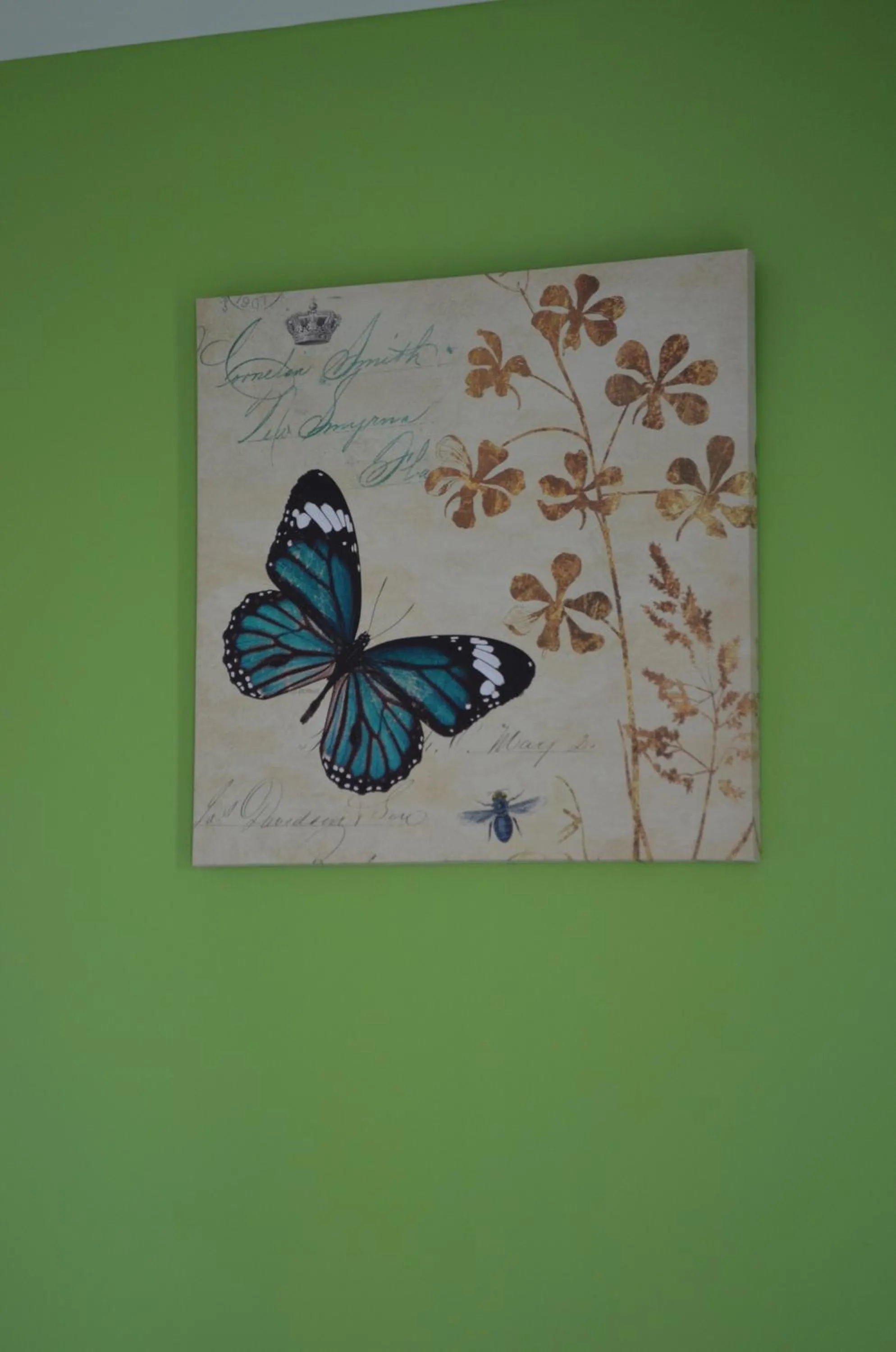 Decorative detail in Varinda Hostel