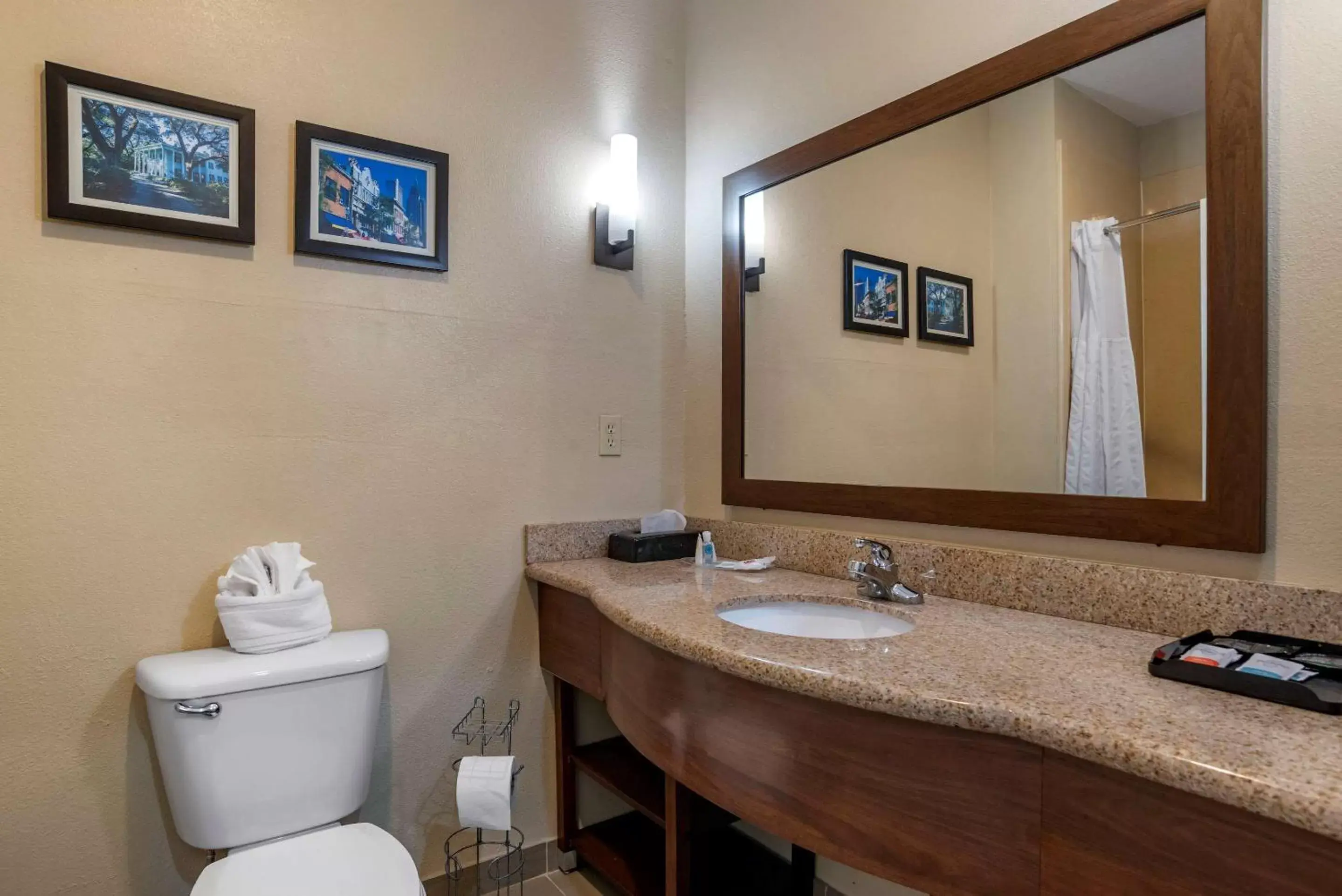Bedroom, Bathroom in Comfort Suites Mobile West/Tillmans Corner
