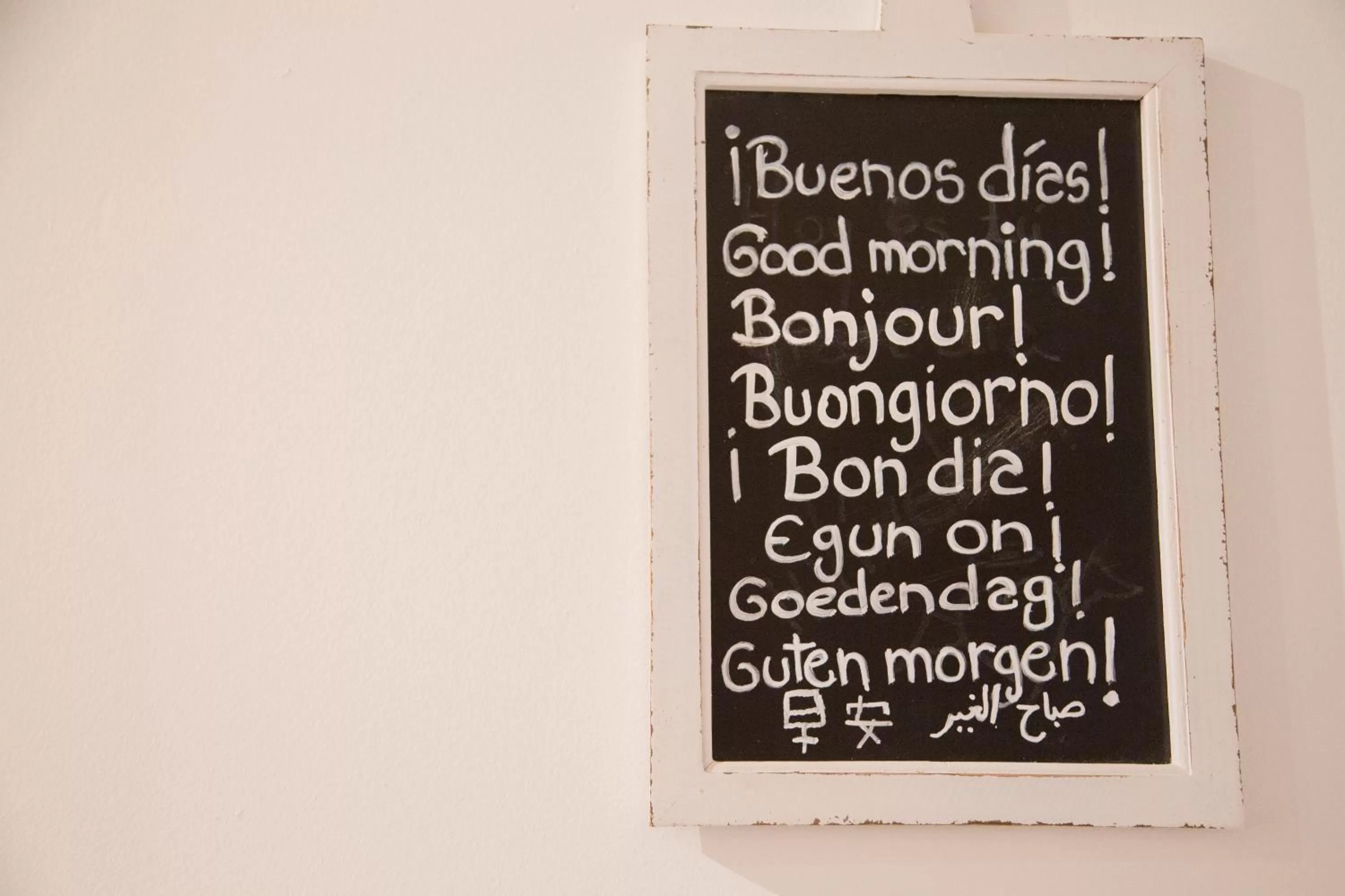 Activities in Petit Palace Plaza del Carmen