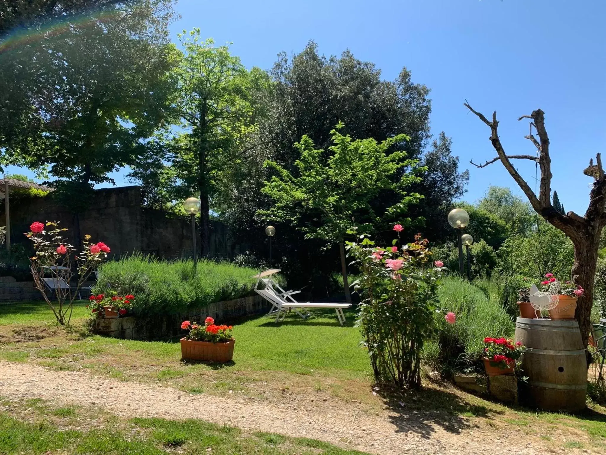 Garden in La Coroncina Lodging