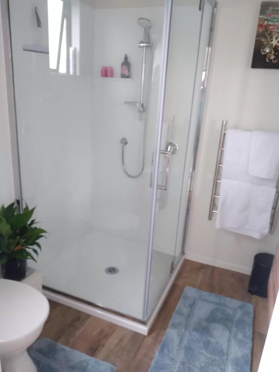 Carters Beach Bed and Breakfast