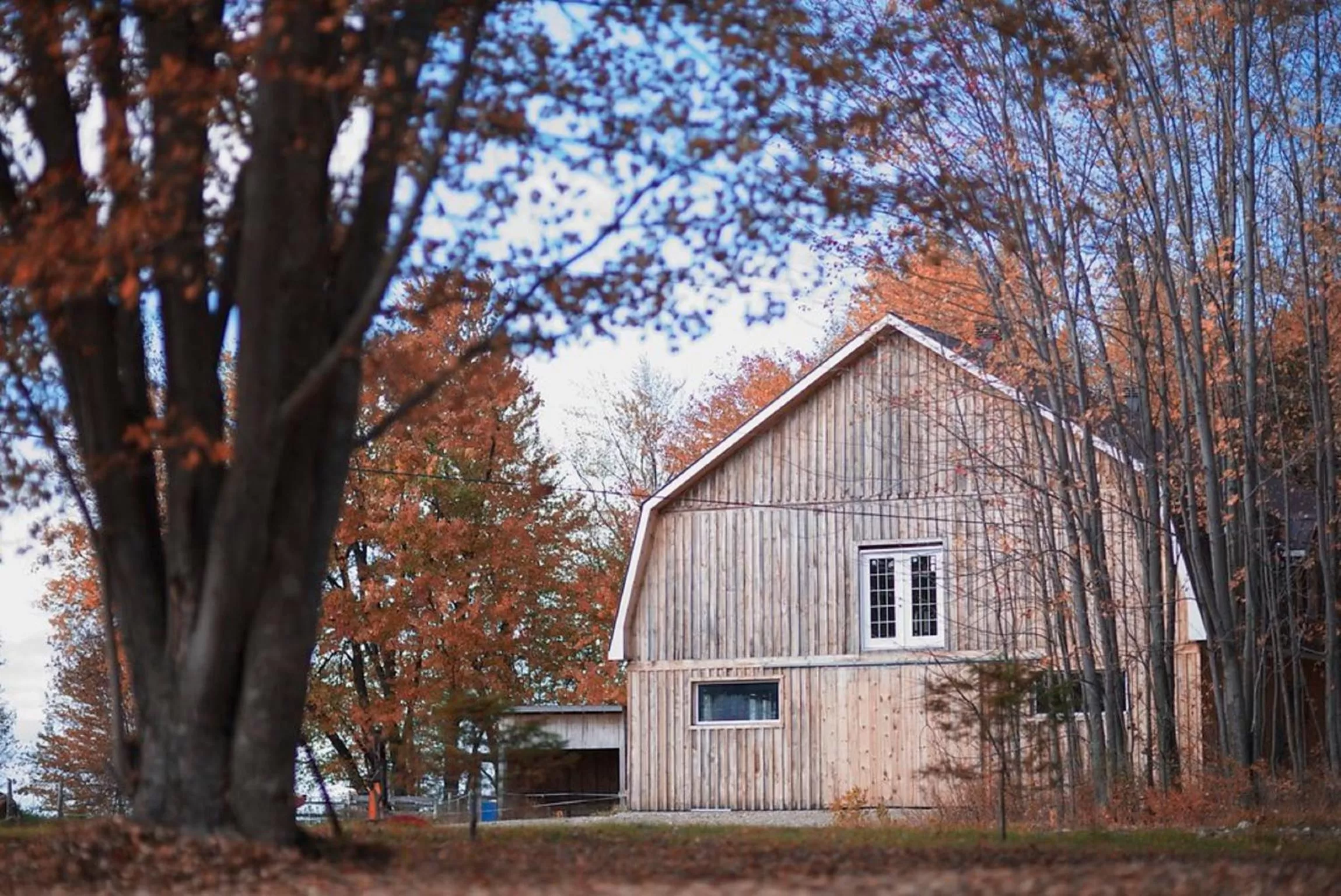 Property Building in Gite O'bordeleau