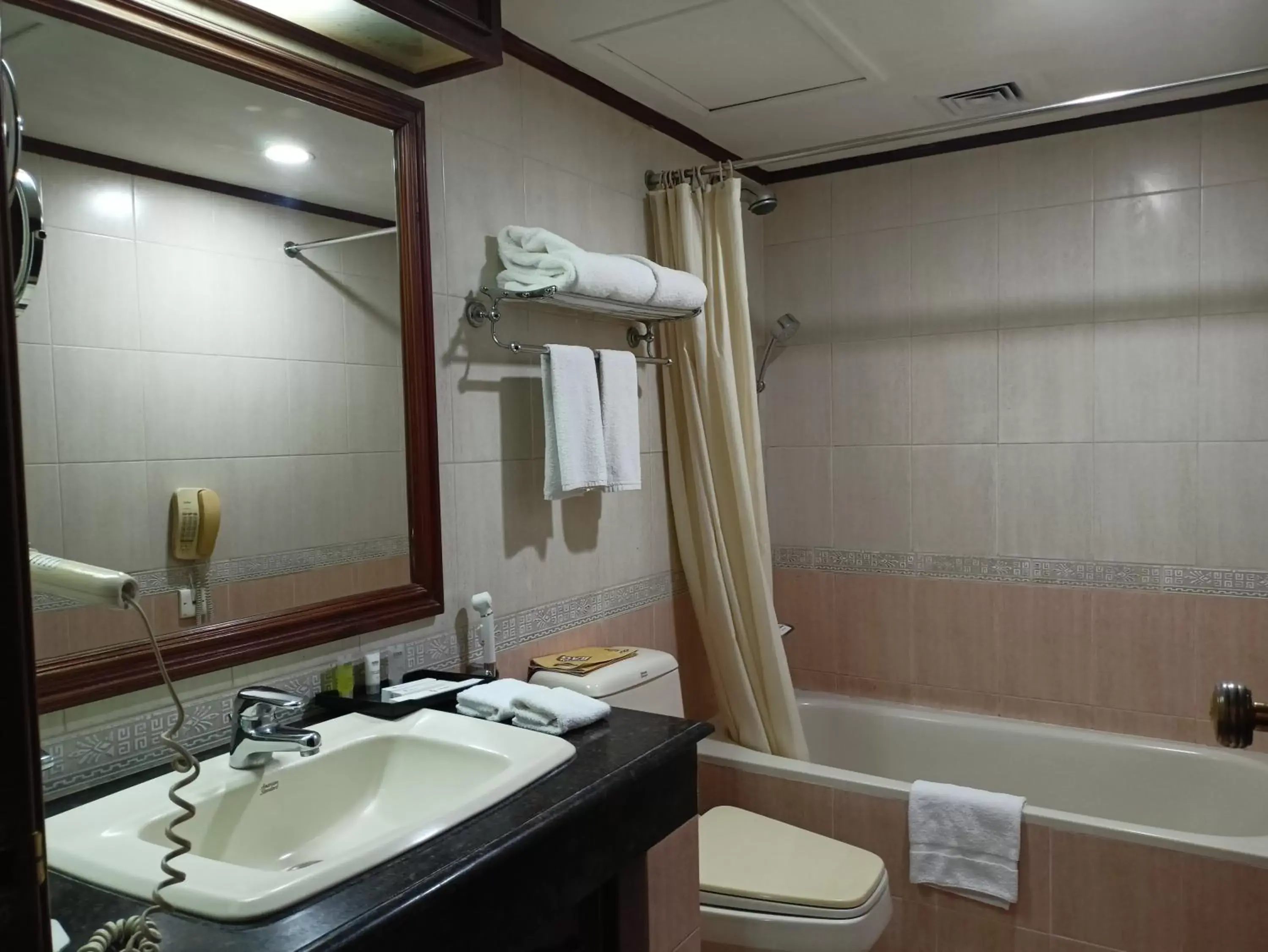 Bathroom in Hotel Sarina