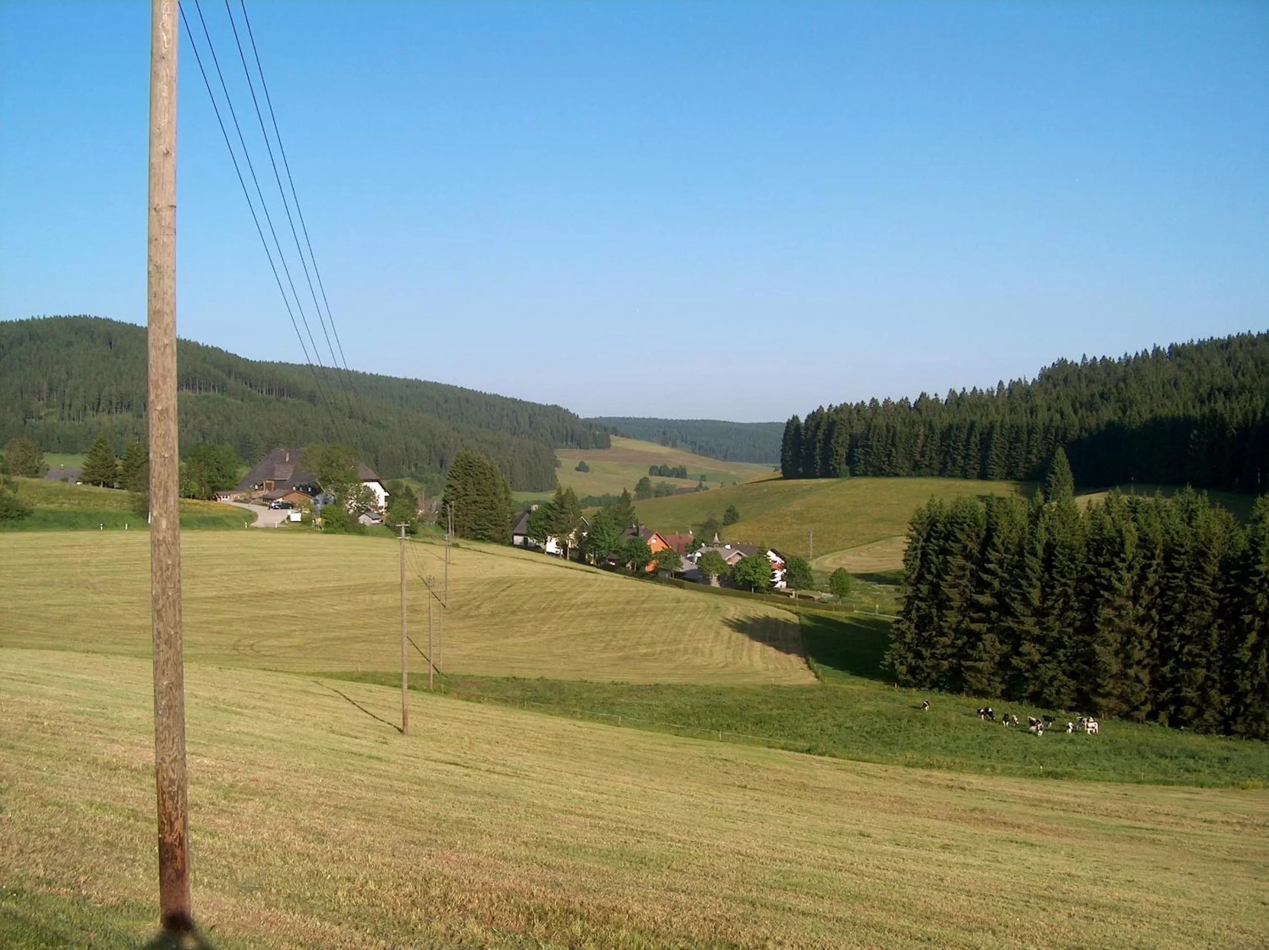Natural landscape in ZUR TRAUBE Schwarzwaldhotel & Restaurant am Titisee