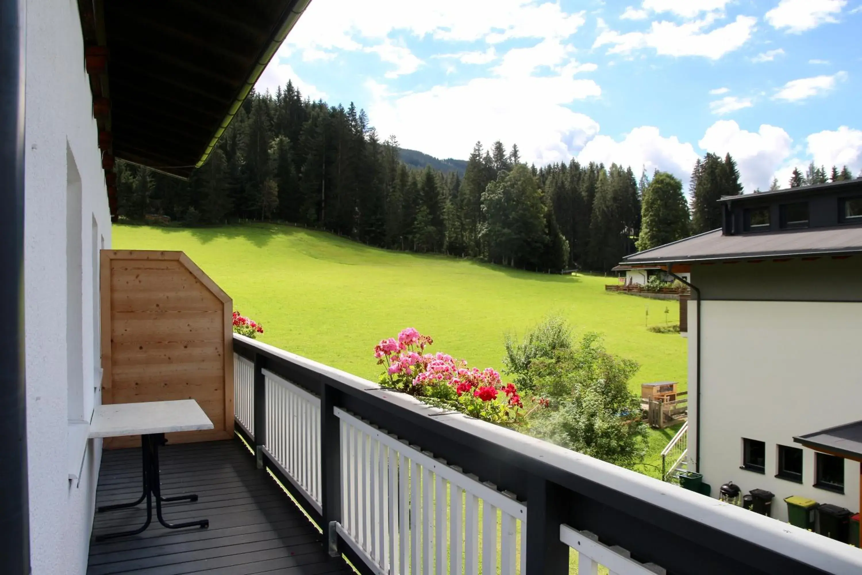 Balcony/Terrace in Alpenhof
