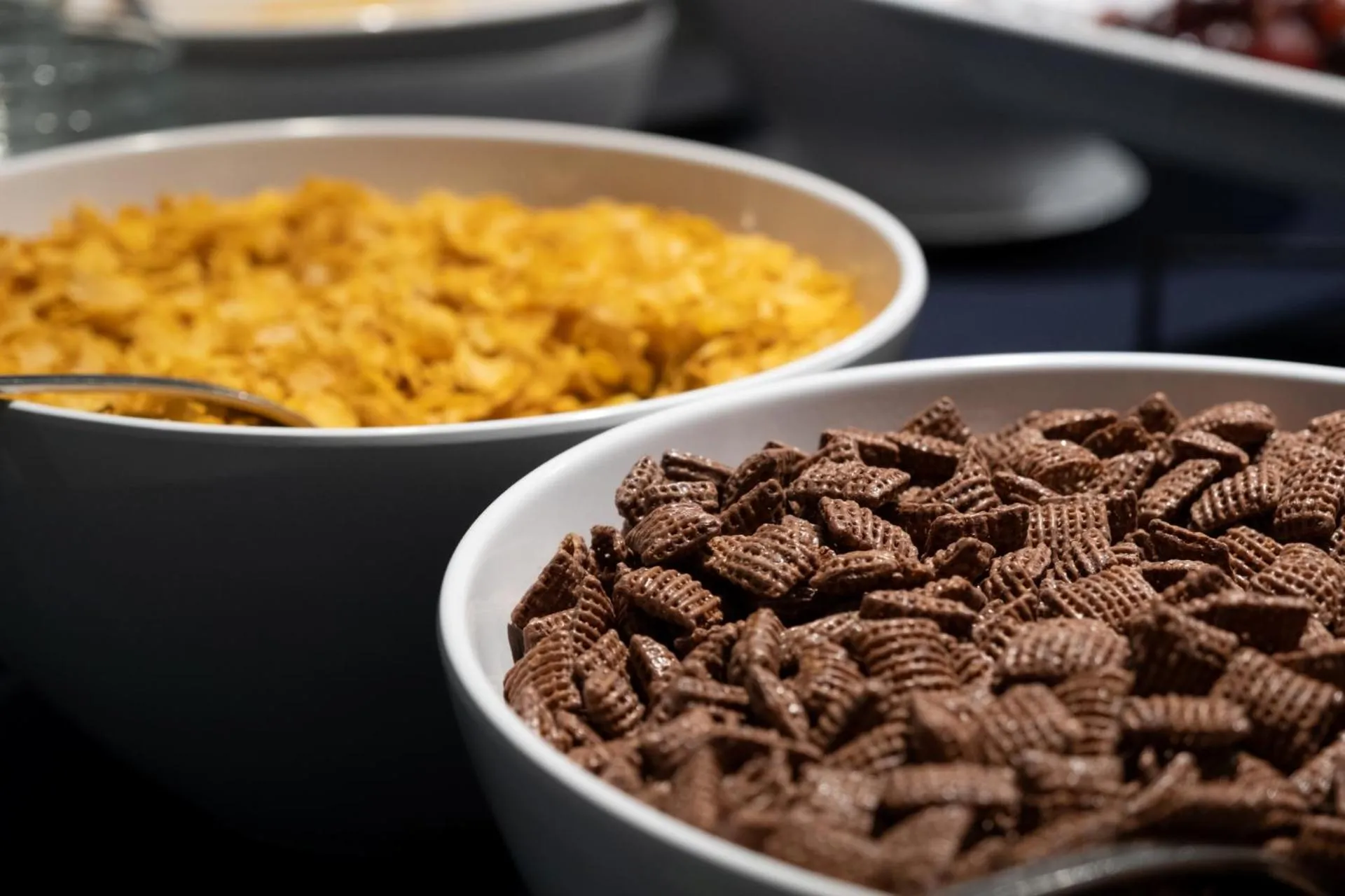 Breakfast, Food in Hotel Whistlelark, BW Signature Collection