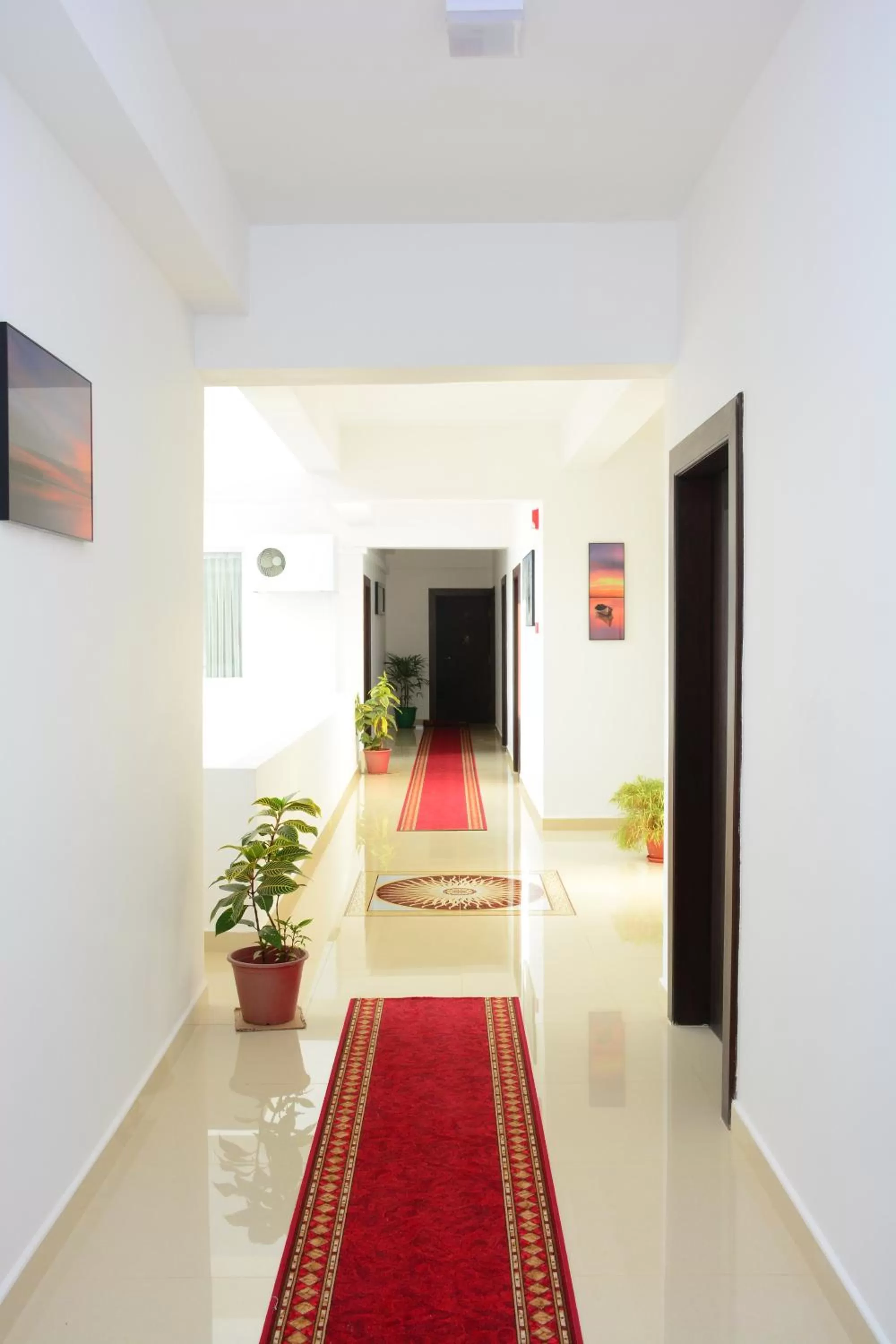 Facade/entrance in Hotel Nelly Marine