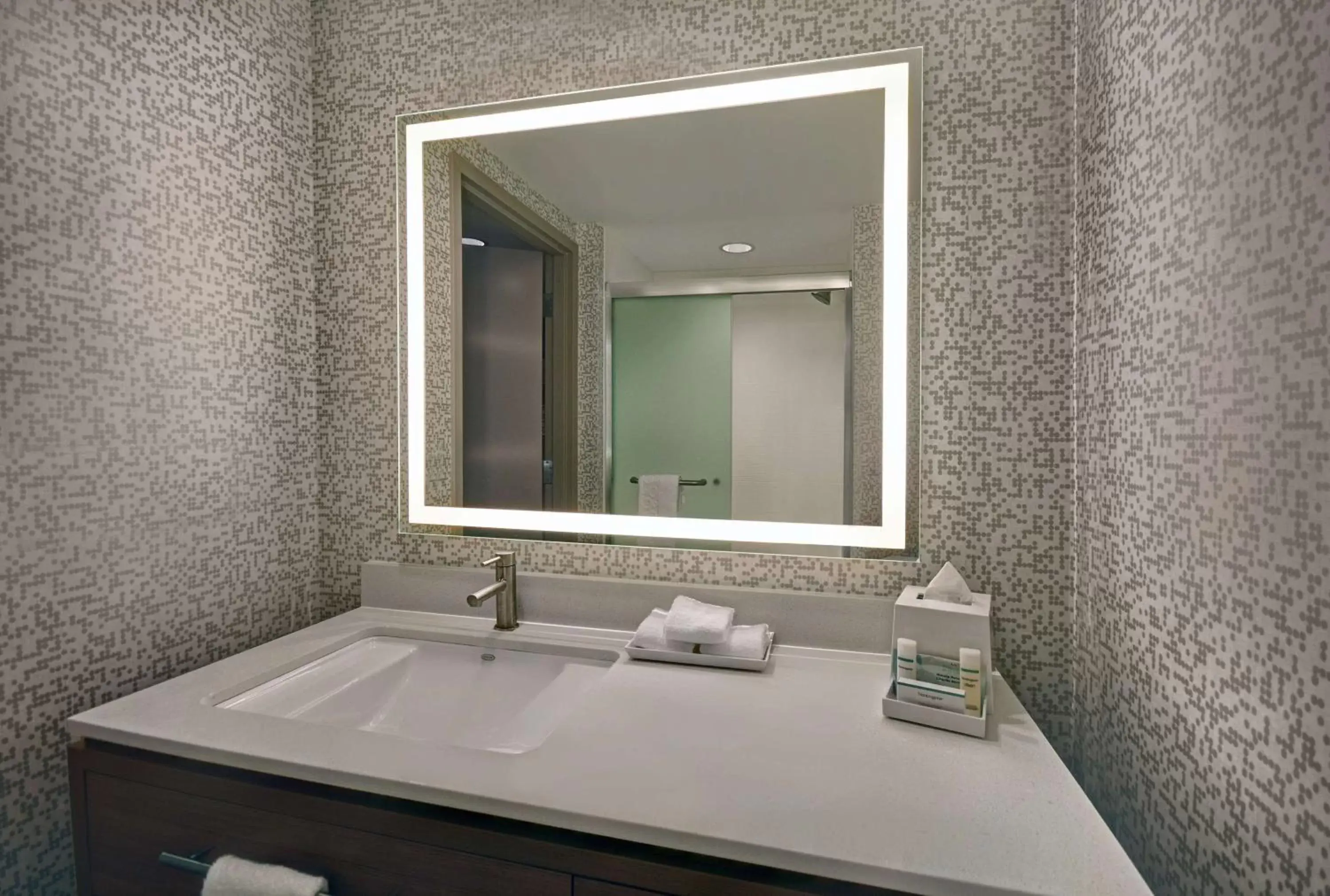 Bathroom in Home2 Suites by Hilton Atlanta Airport North