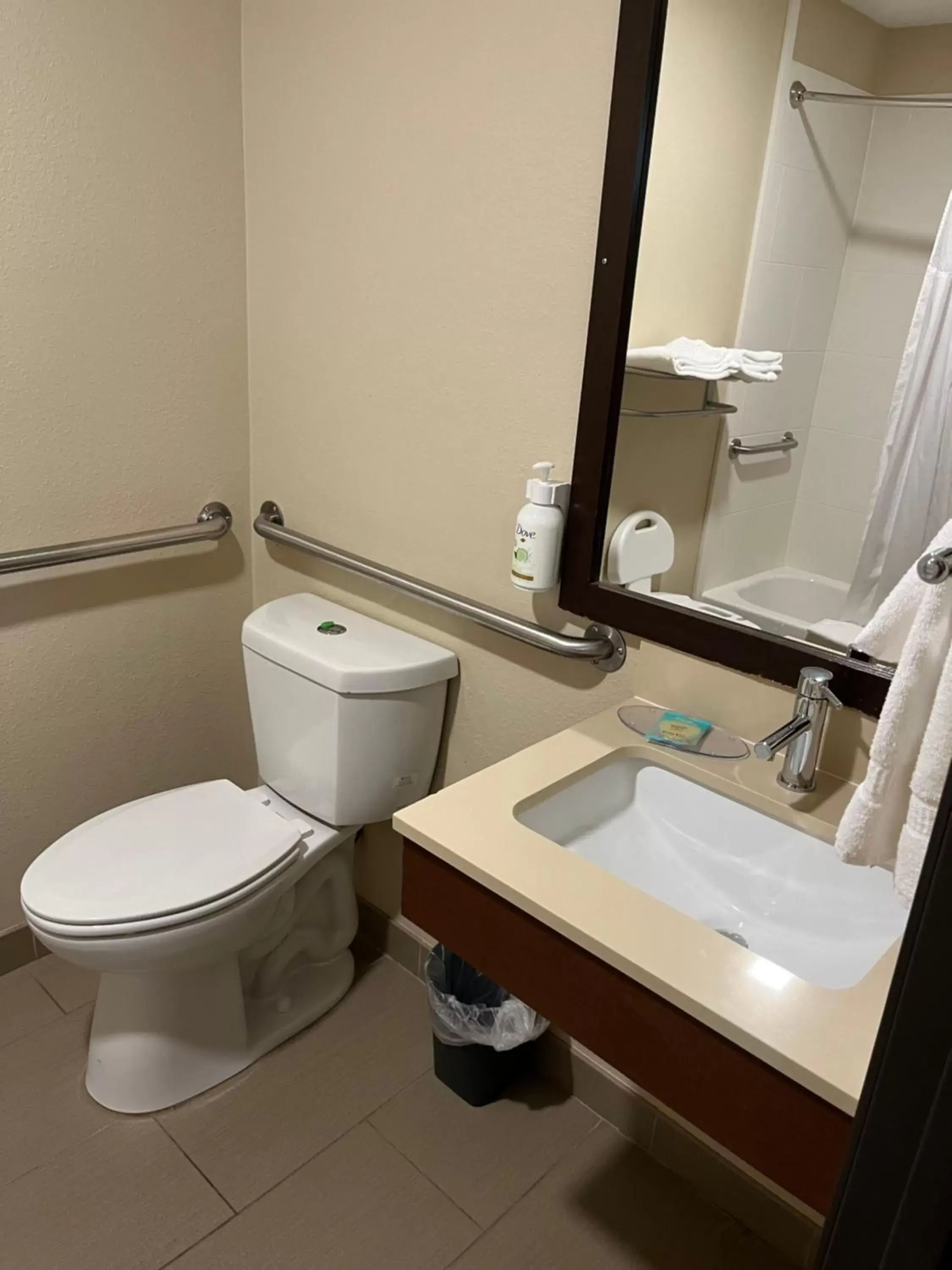 Toilet, Bathroom in Wingate by Wyndham West Mifflin