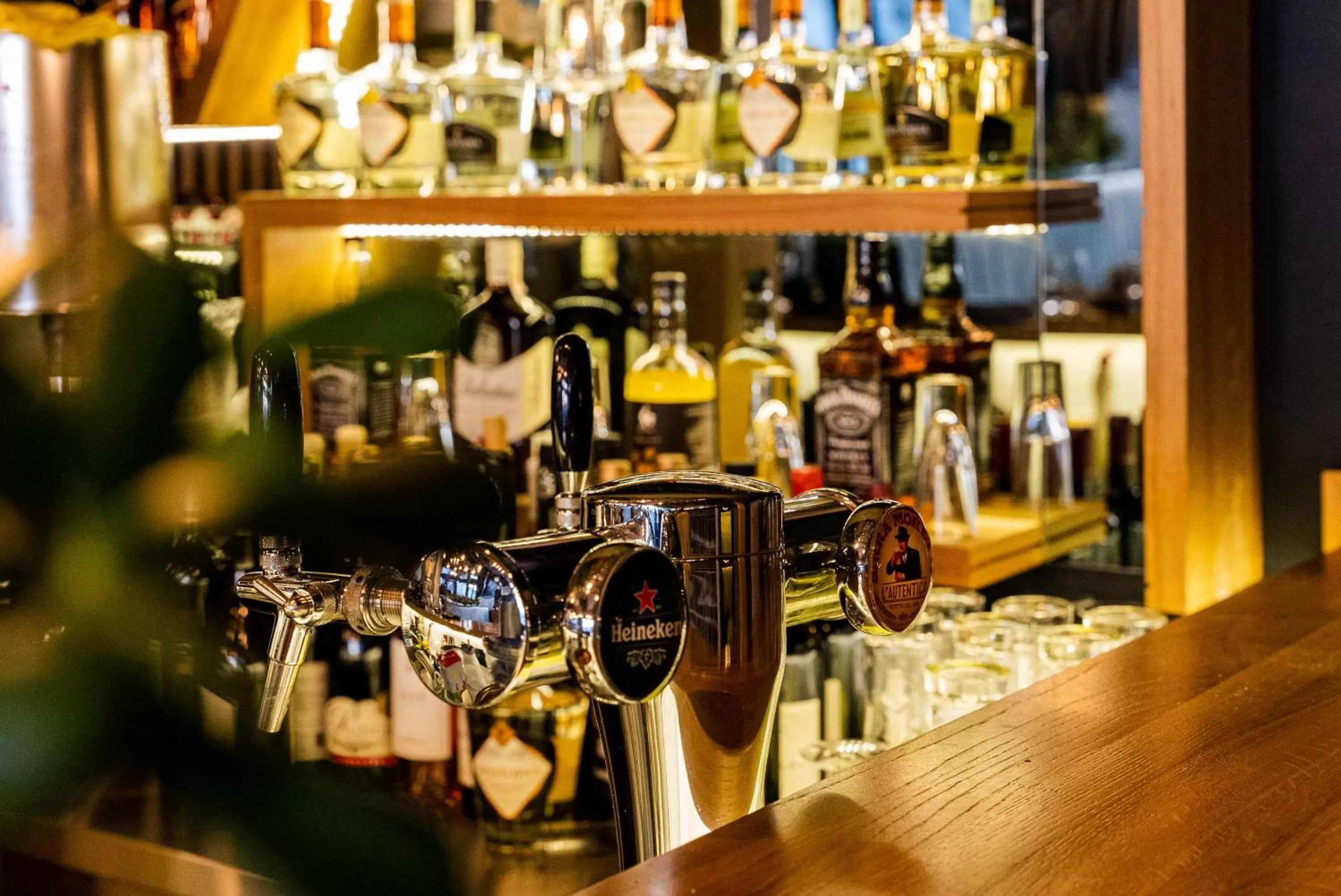 Restaurant/places to eat in Hotel Dum by Muskat