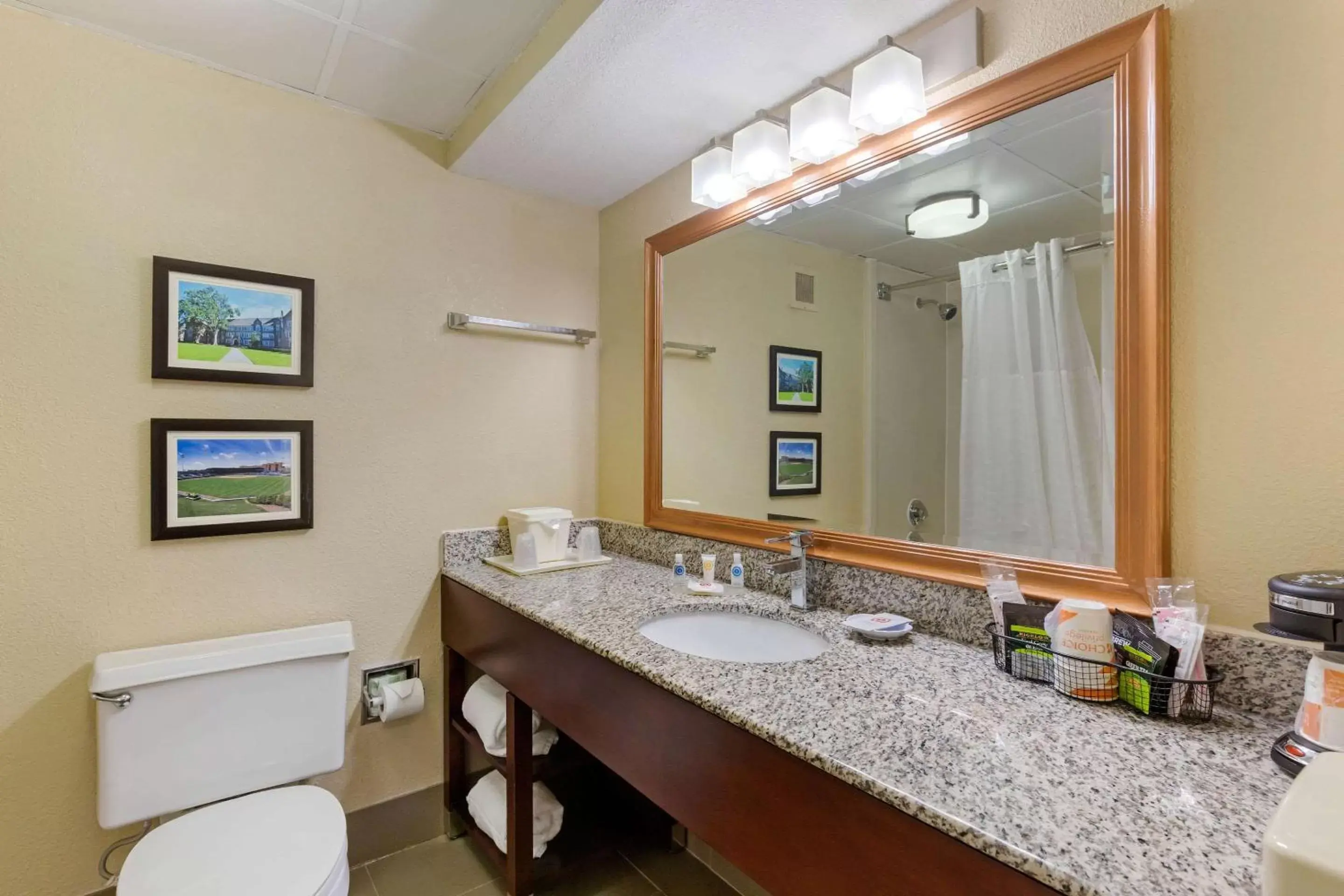 Bathroom in Comfort Inn & Suites Durham near Duke University