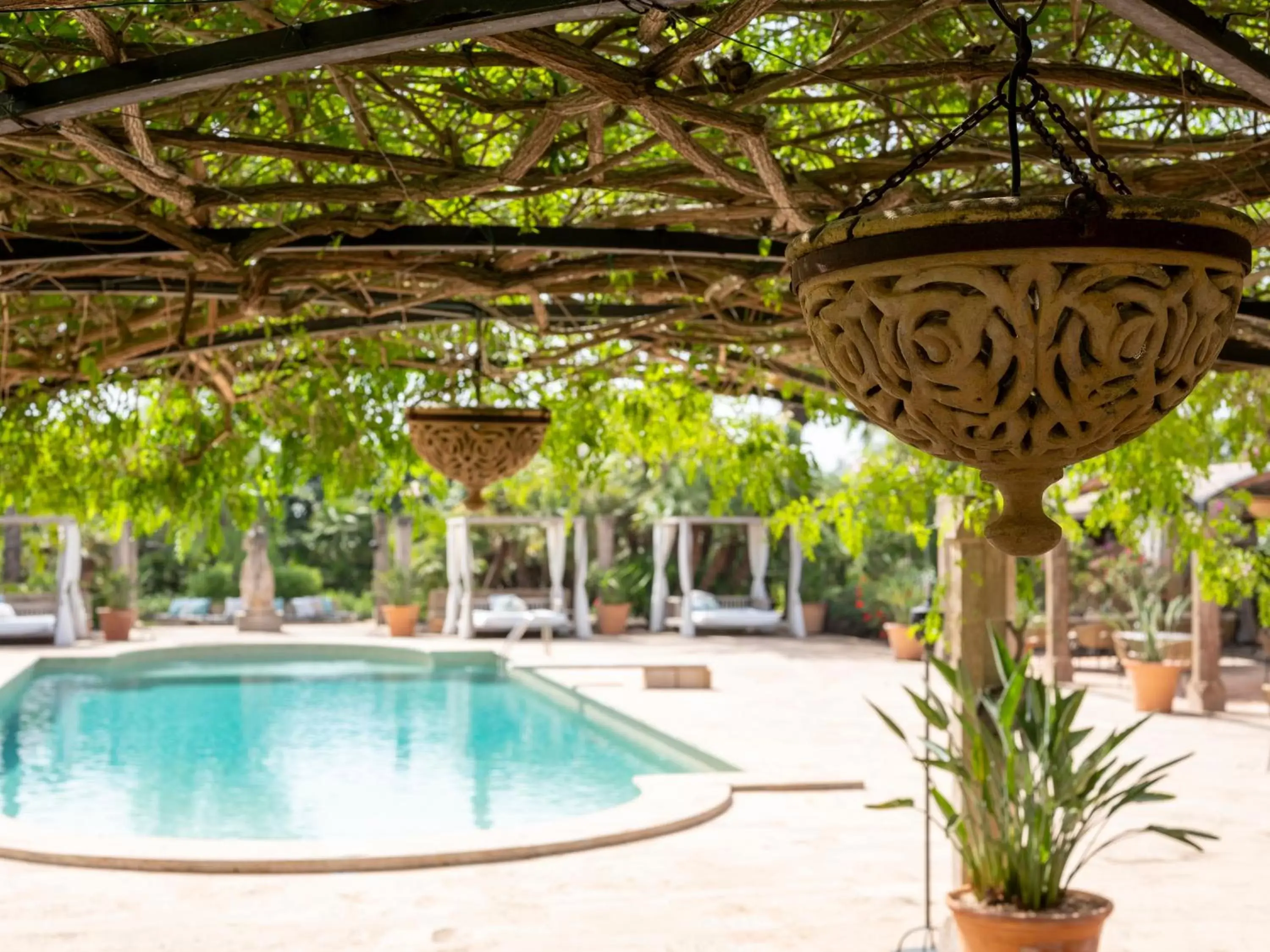 Balcony/Terrace, Swimming Pool in Cal Reiet Holistic Retreat