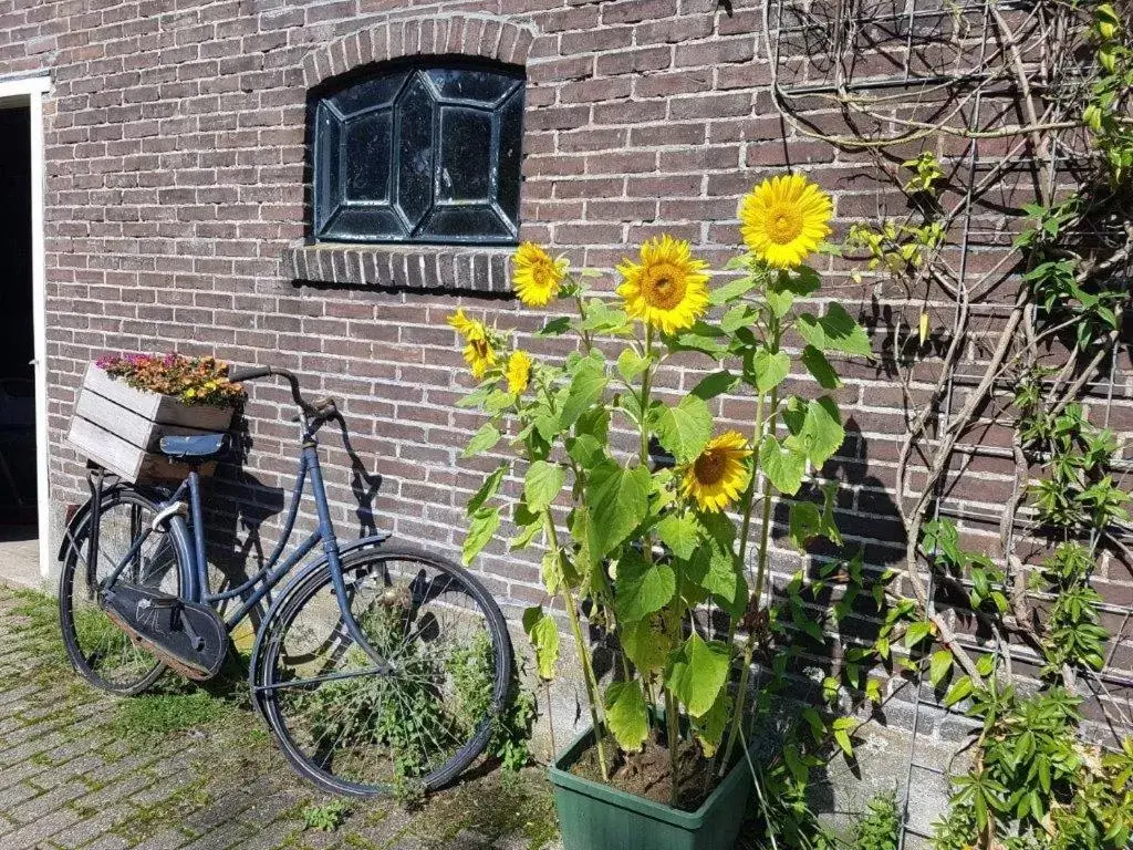 Het Voorhuis boerderij Hoeve Vrede Best