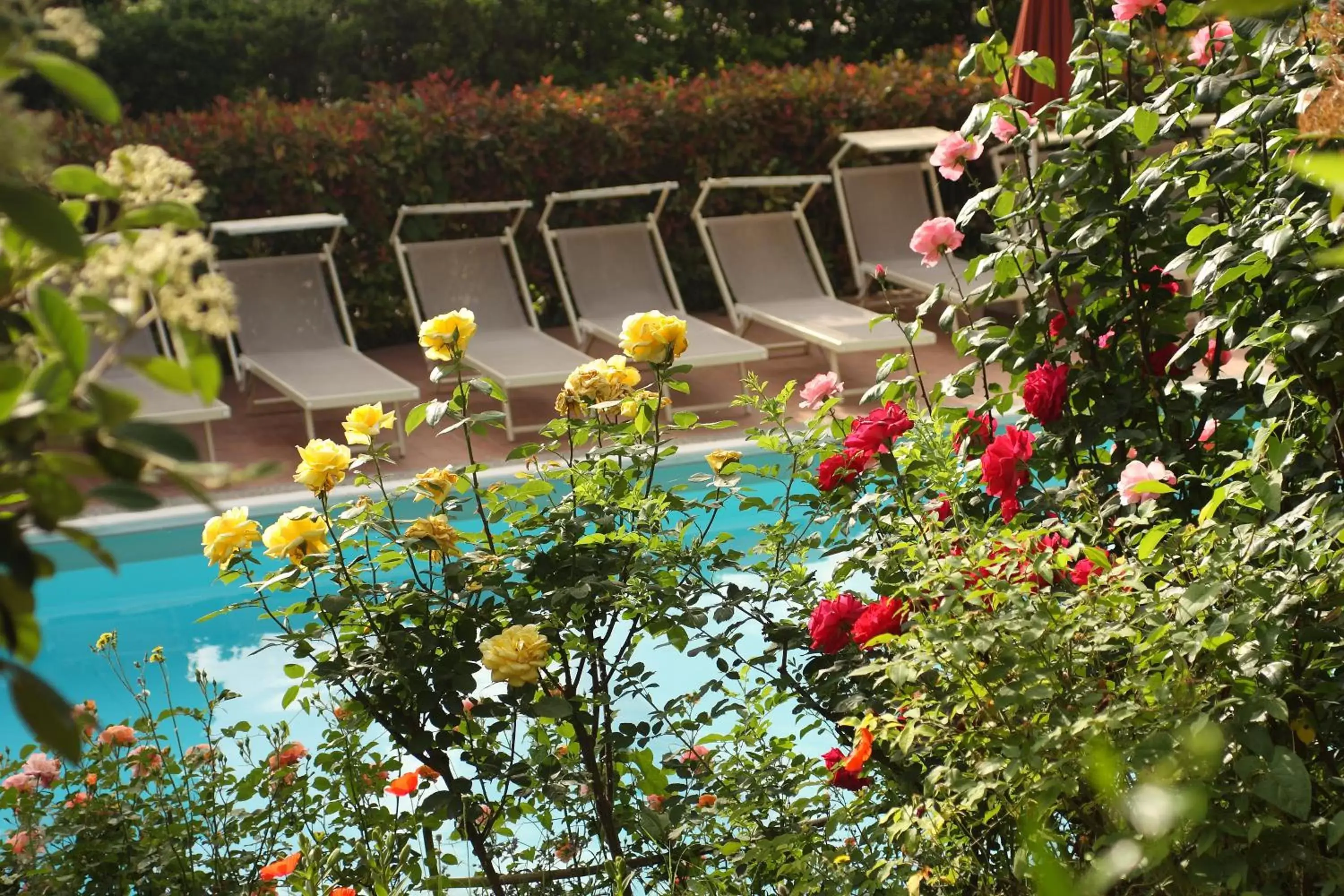 Garden, Pool View in Tenuta Il Burchio