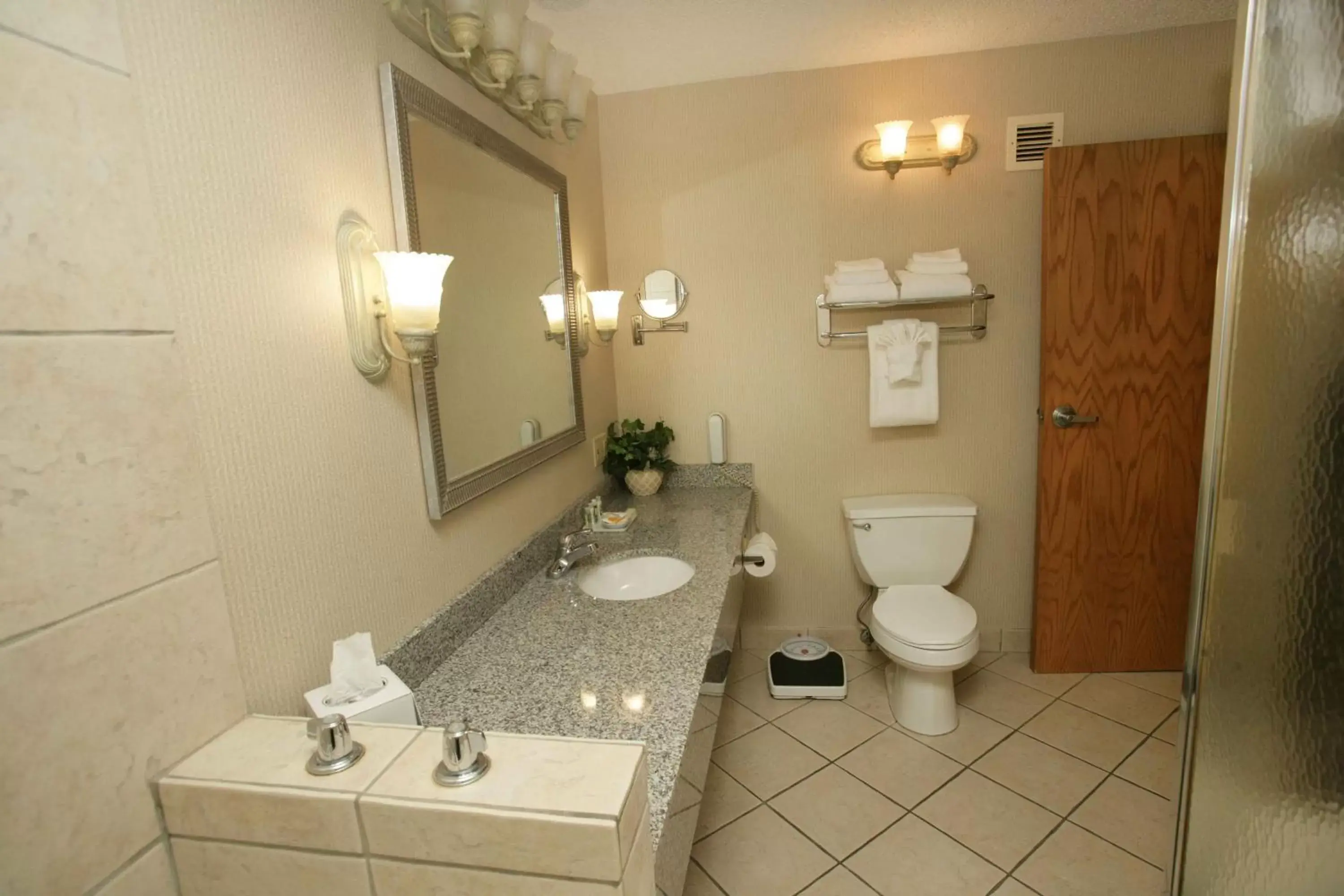 Bathroom in Holiday Inn Riverton-Convention Center, an IHG Hotel