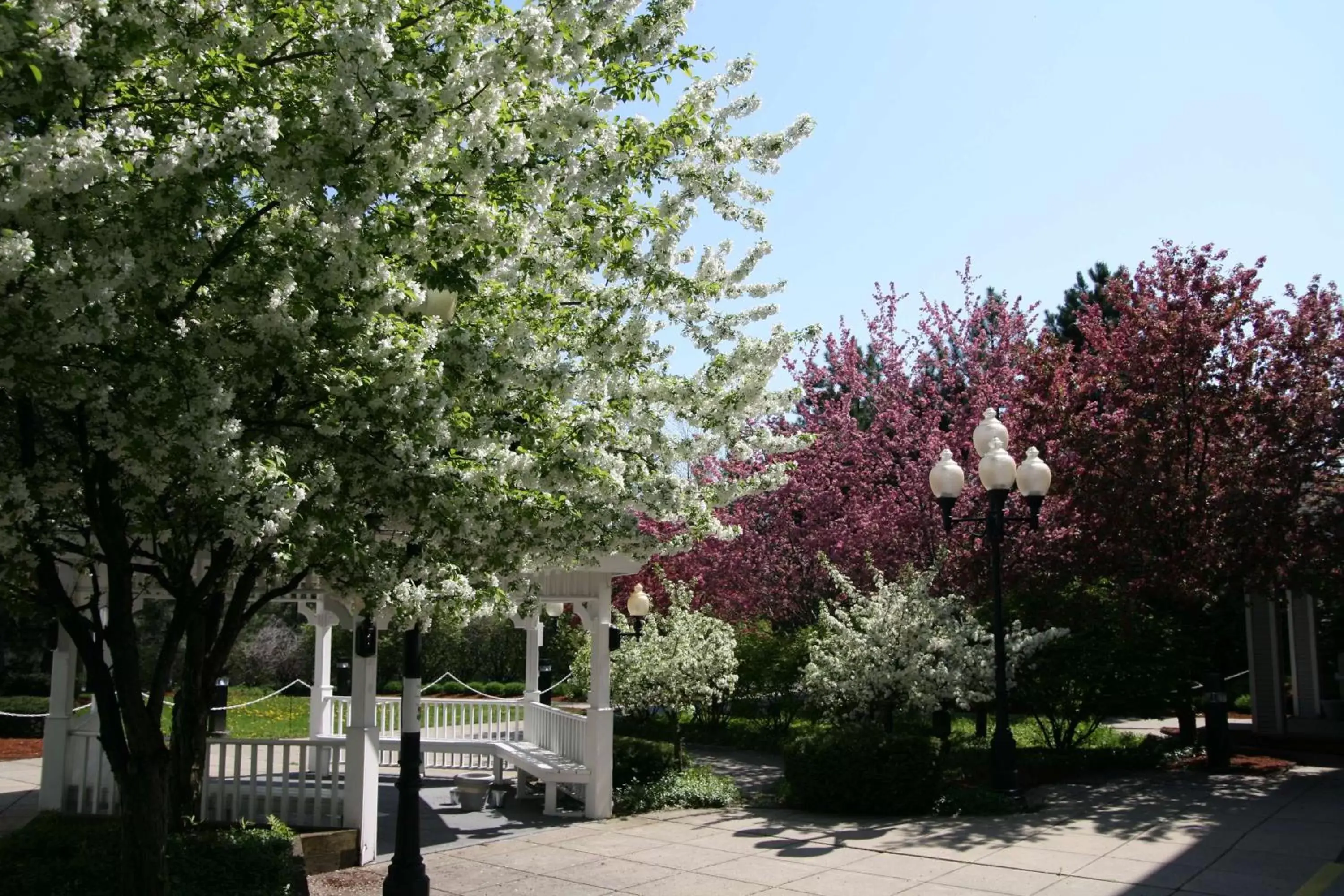 Property building in Hampton Inn Burlington - Colchester Property building in Hampton Inn Burlington - Colchester