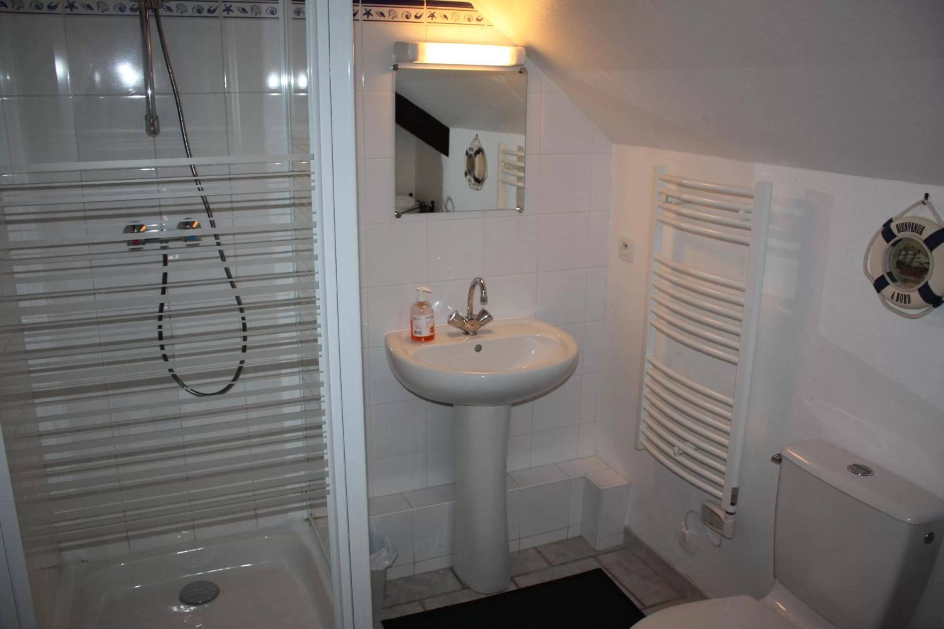 Shower, Bathroom in La Rose des Vents