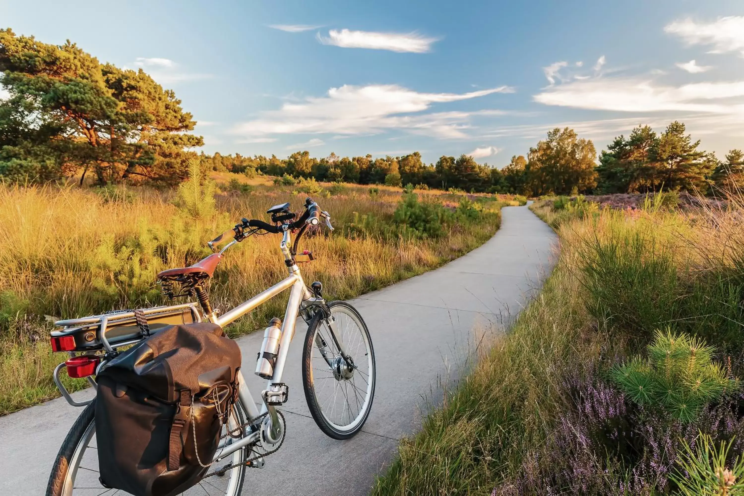 Natural landscape, Biking in Human & Horse Hotel