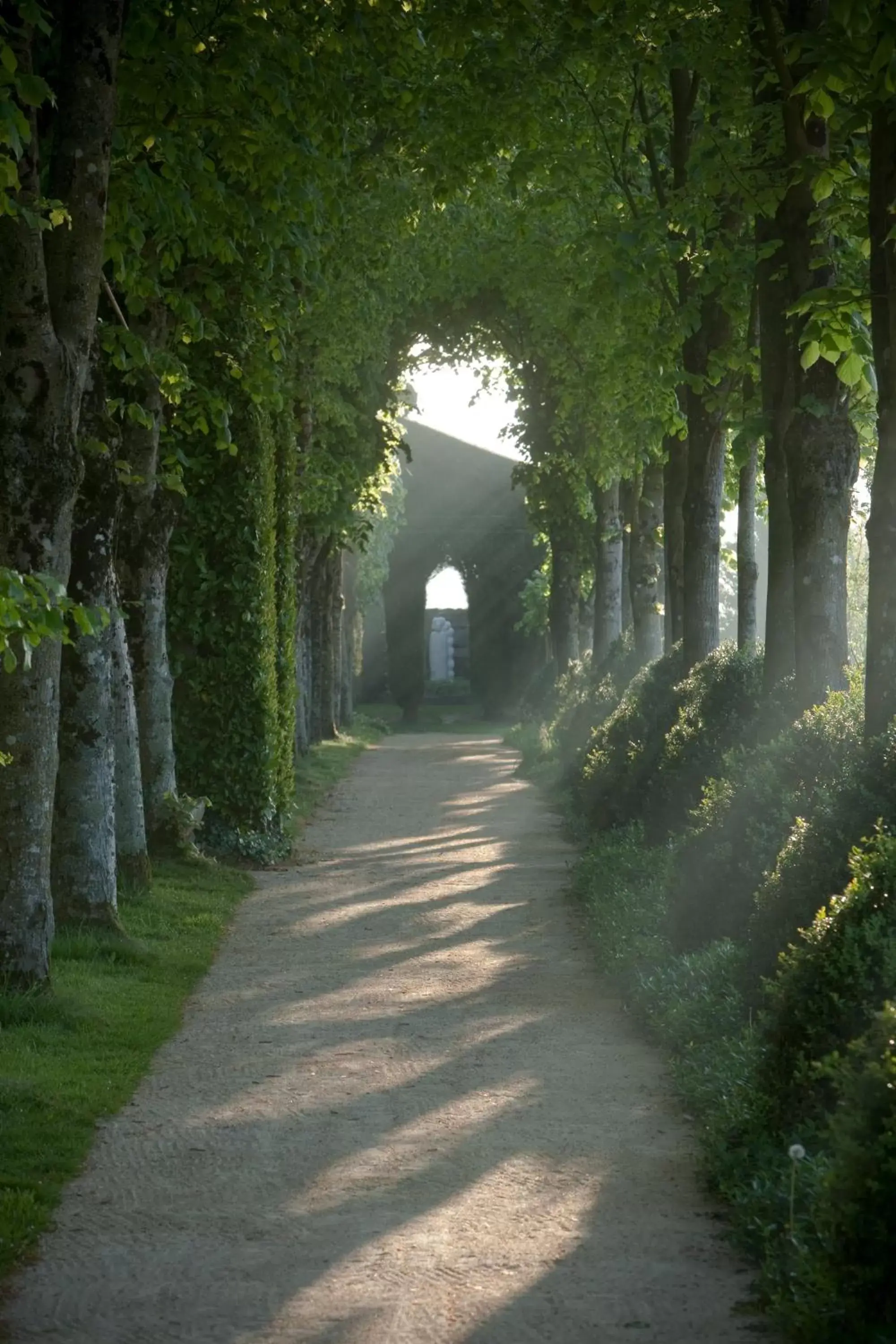 Area and facilities, Garden in Château de La Ballue - Les Collectionneurs