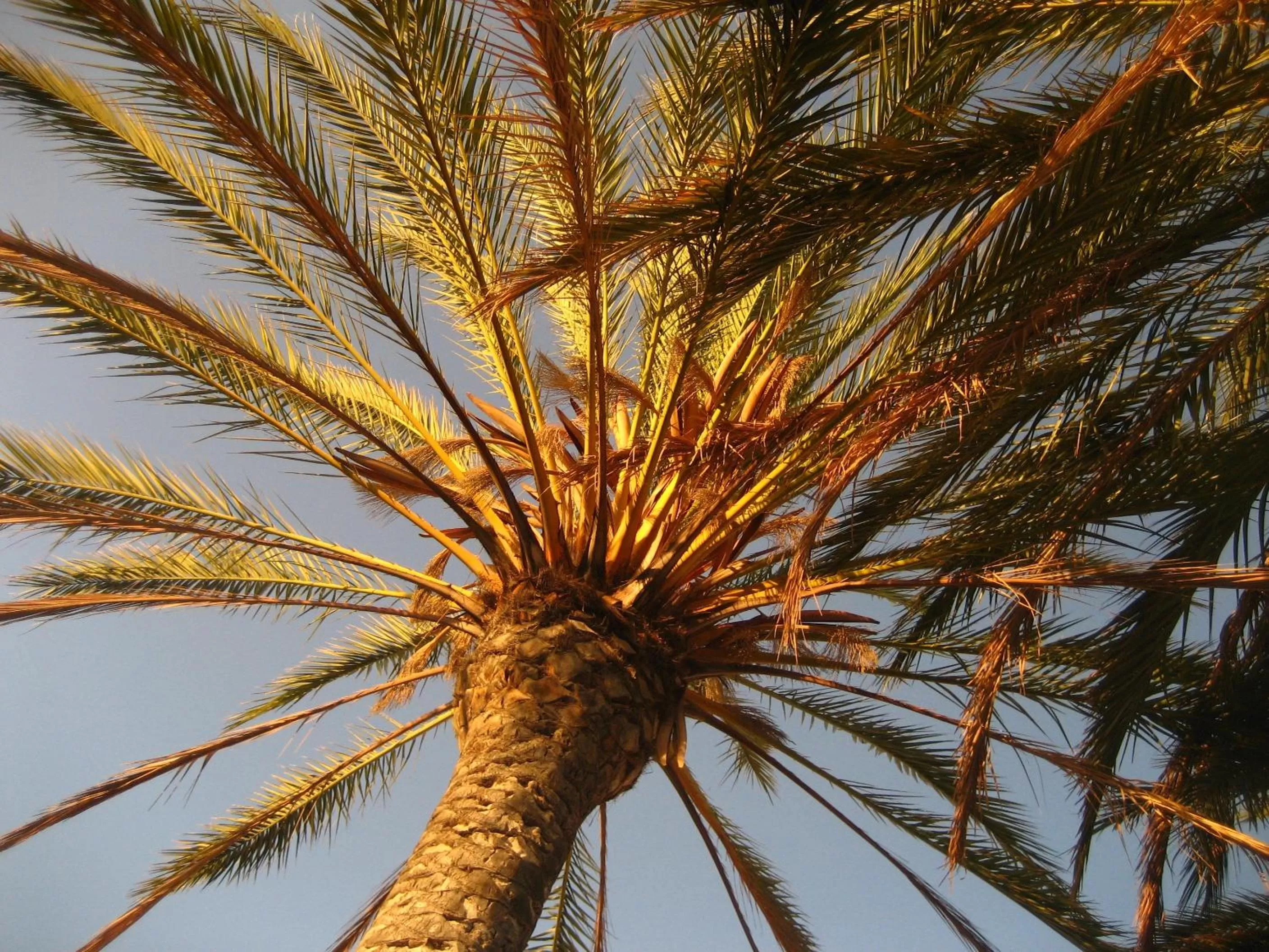 Garden in Birdcage Gay Men Resort and Lifestyle Hotel