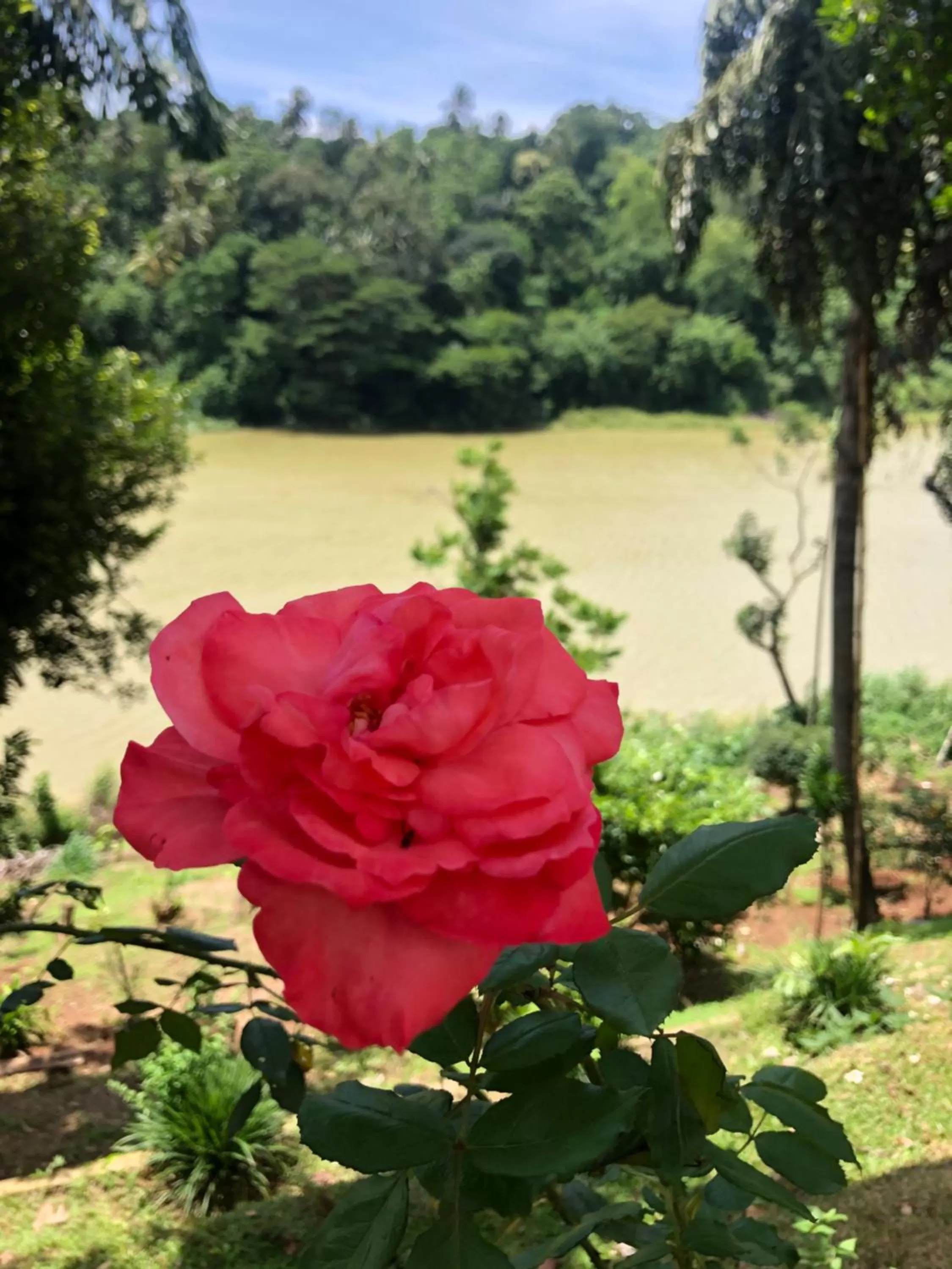 Kandy Rivers Edge Nature Resort