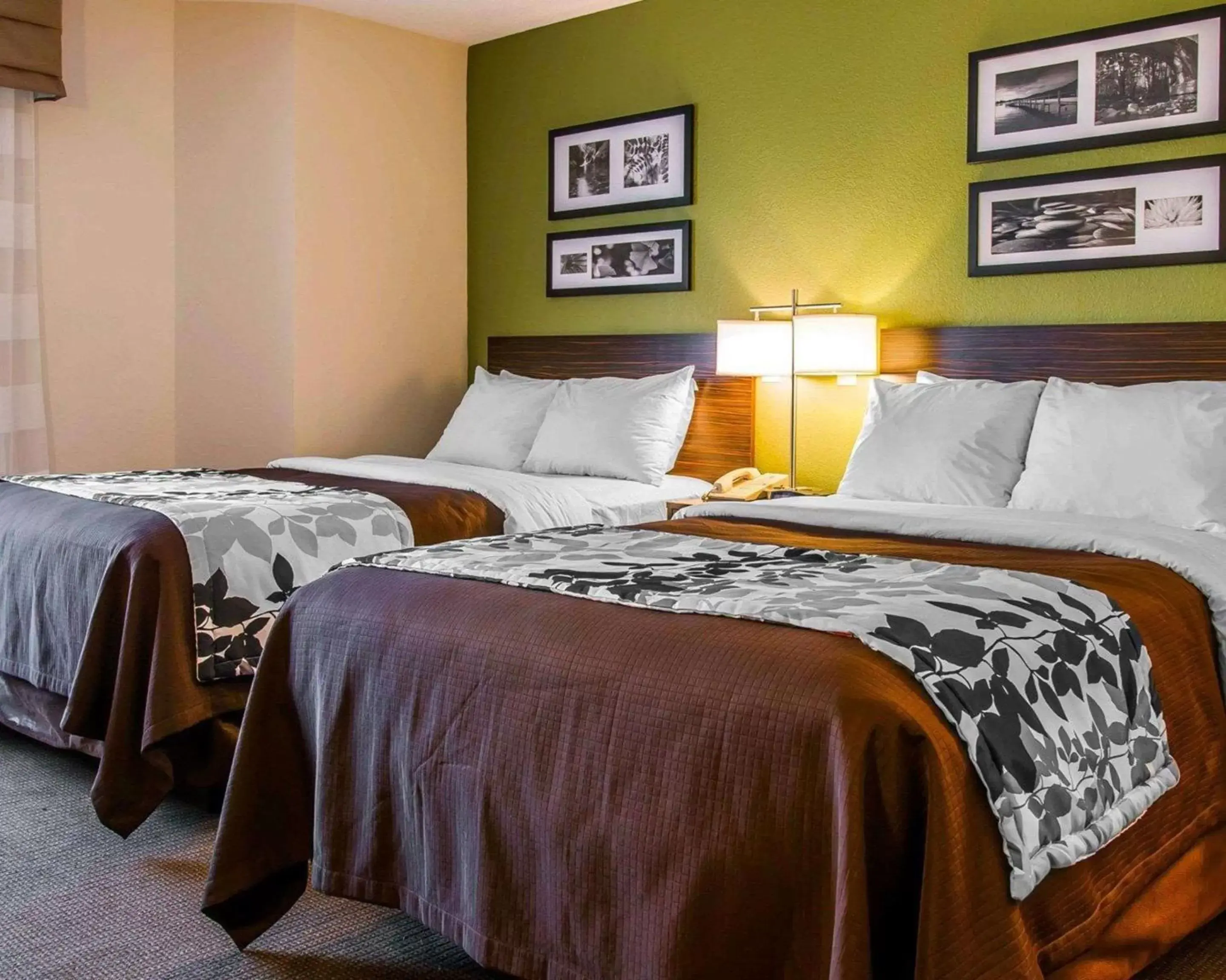 Photo of the whole room, Room Photo in Sleep Inn Midland