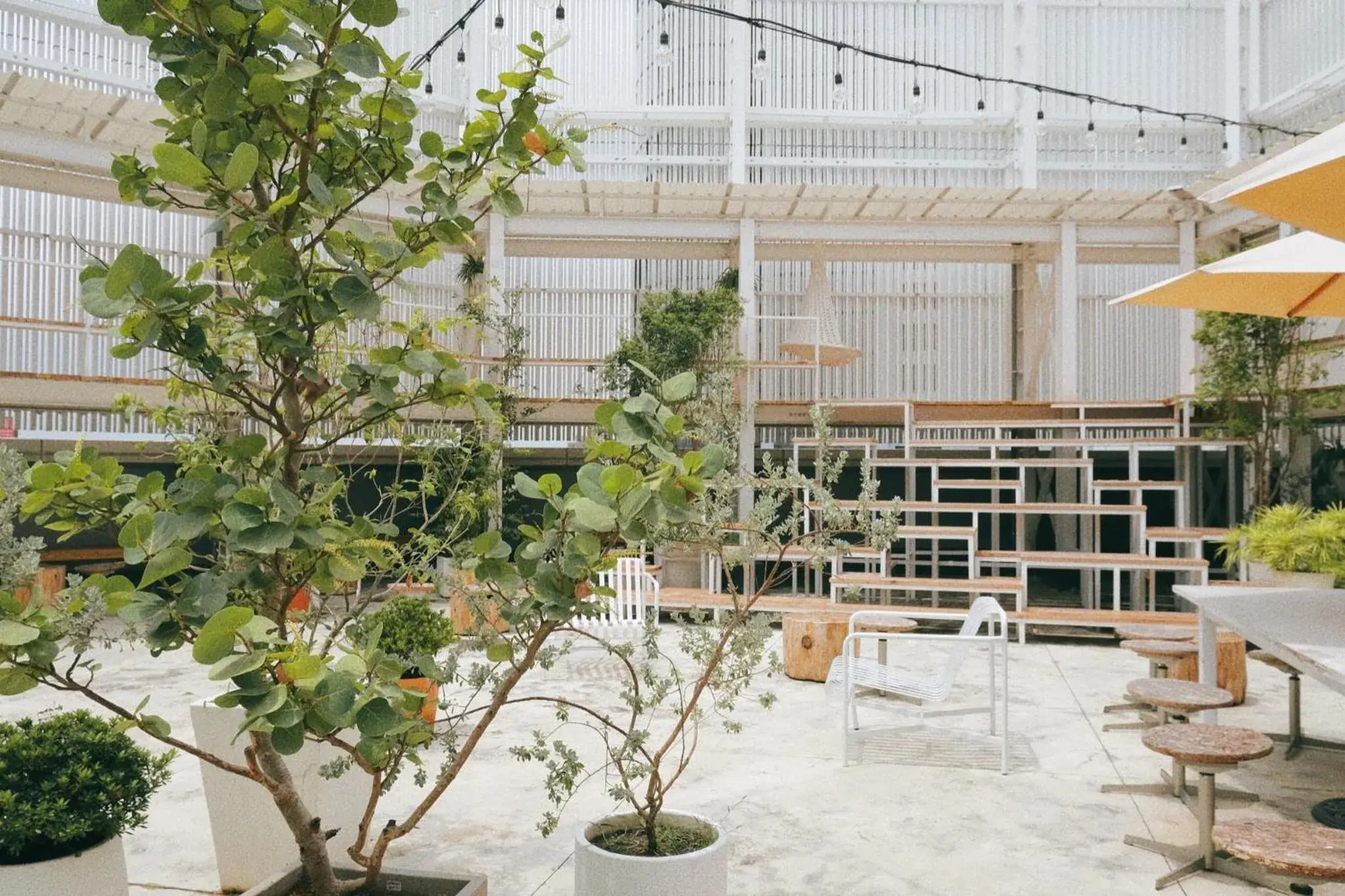 Balcony/Terrace in Norden Ruder Hostel Taichung