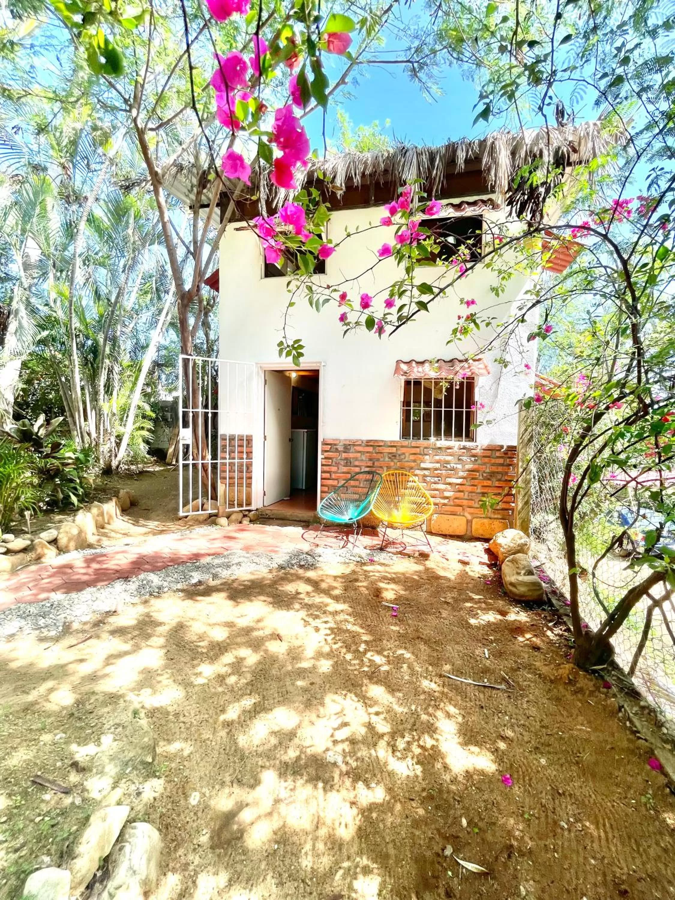 Garden view in El Eden Escondido