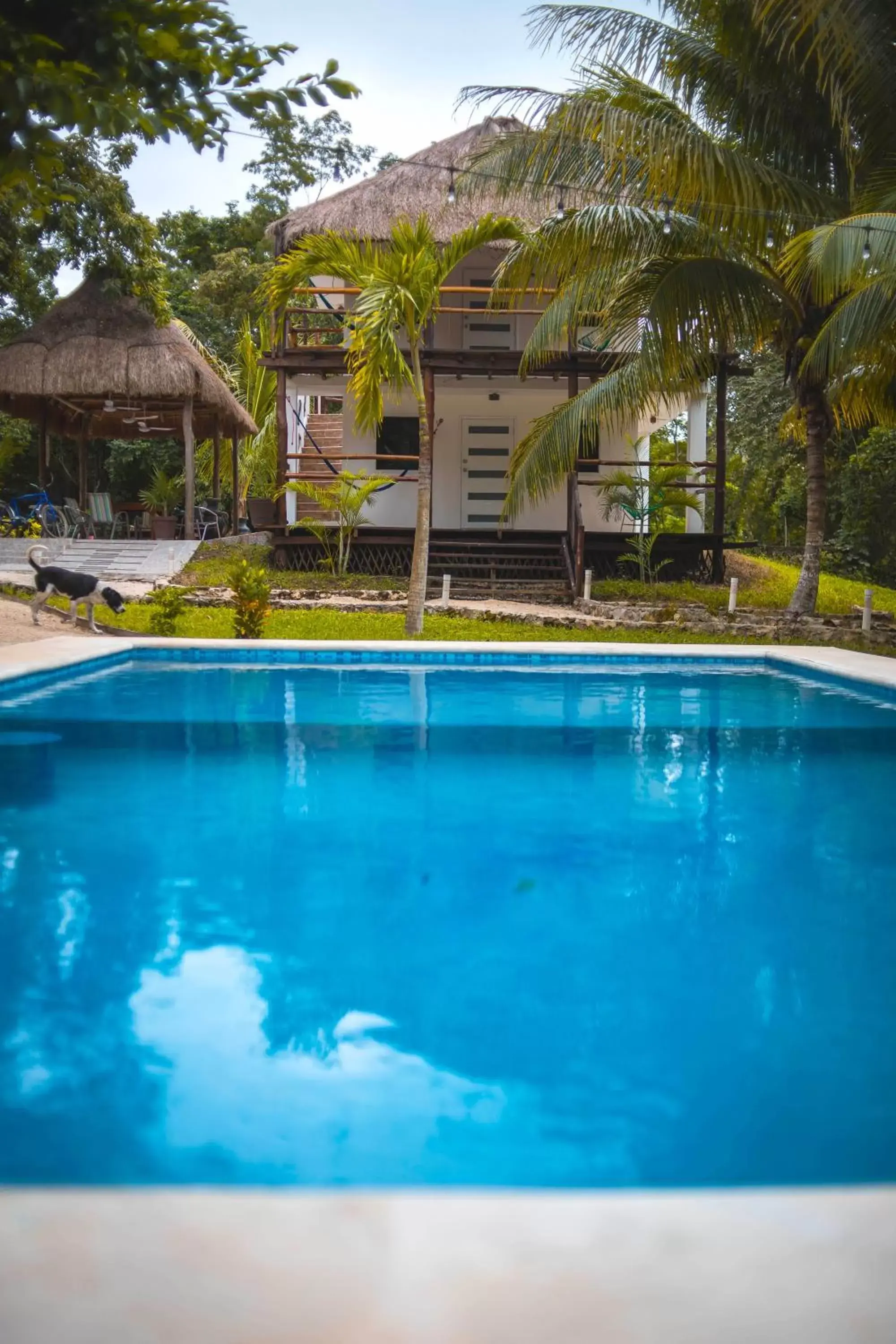 Pool view, Swimming Pool in Royal Palm Bacalar Cabañas & Lagoon Club