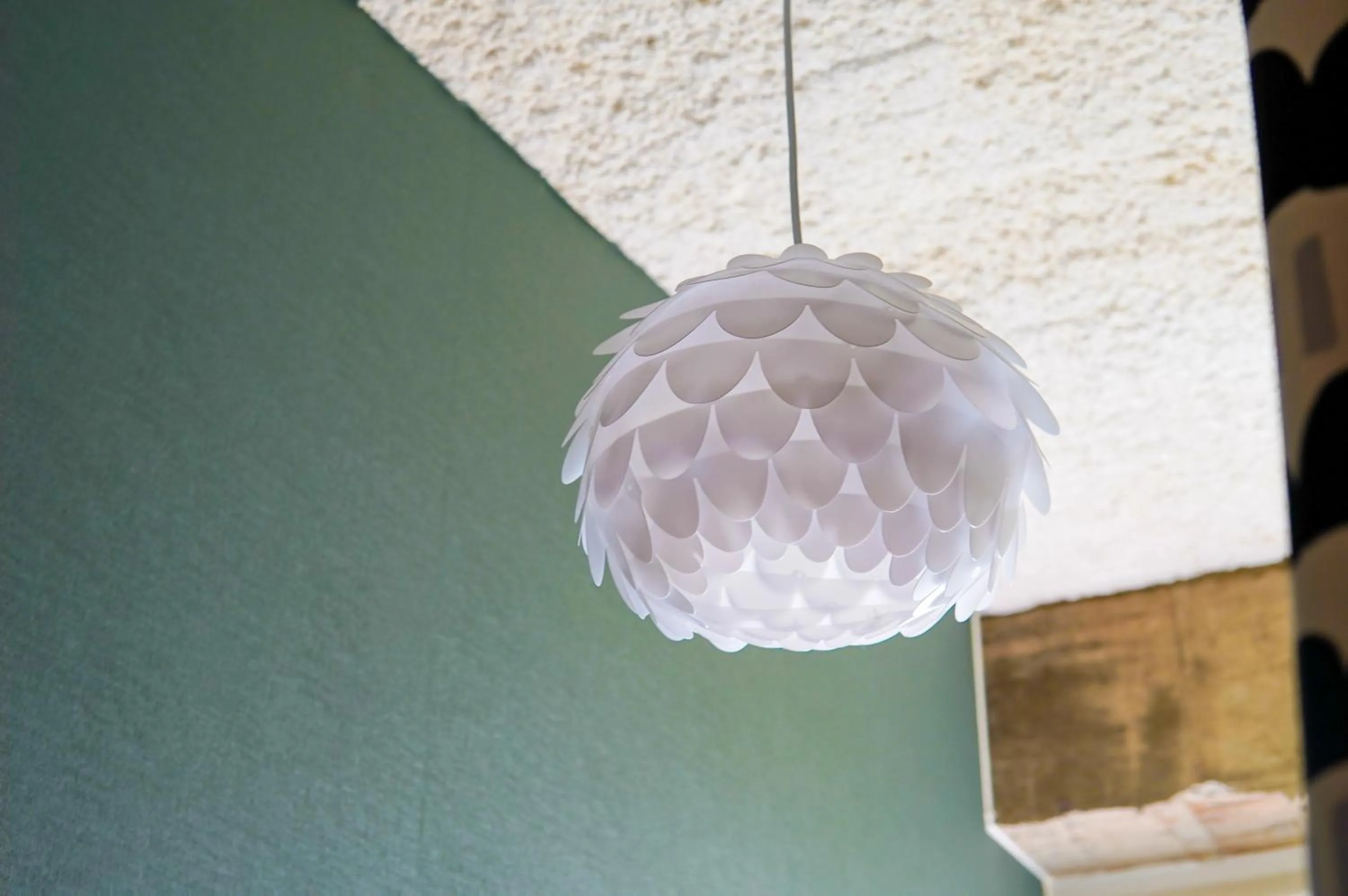 Photo of the whole room in Hostel Niniroom