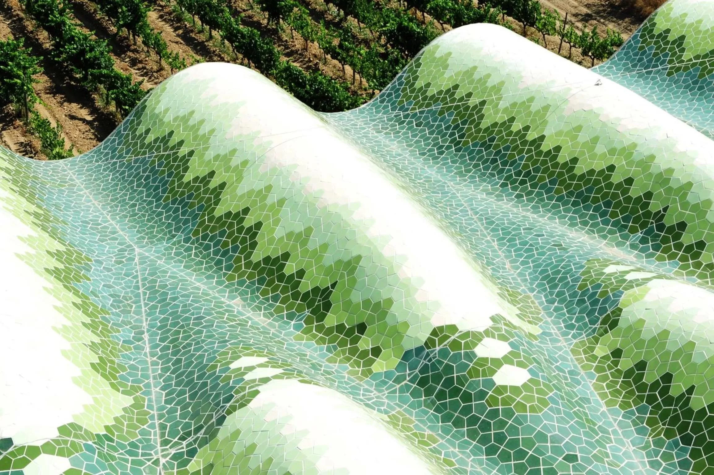 Bird's eye view in Mastinell Cava & Boutique Hotel by Olivia Hotels Collection