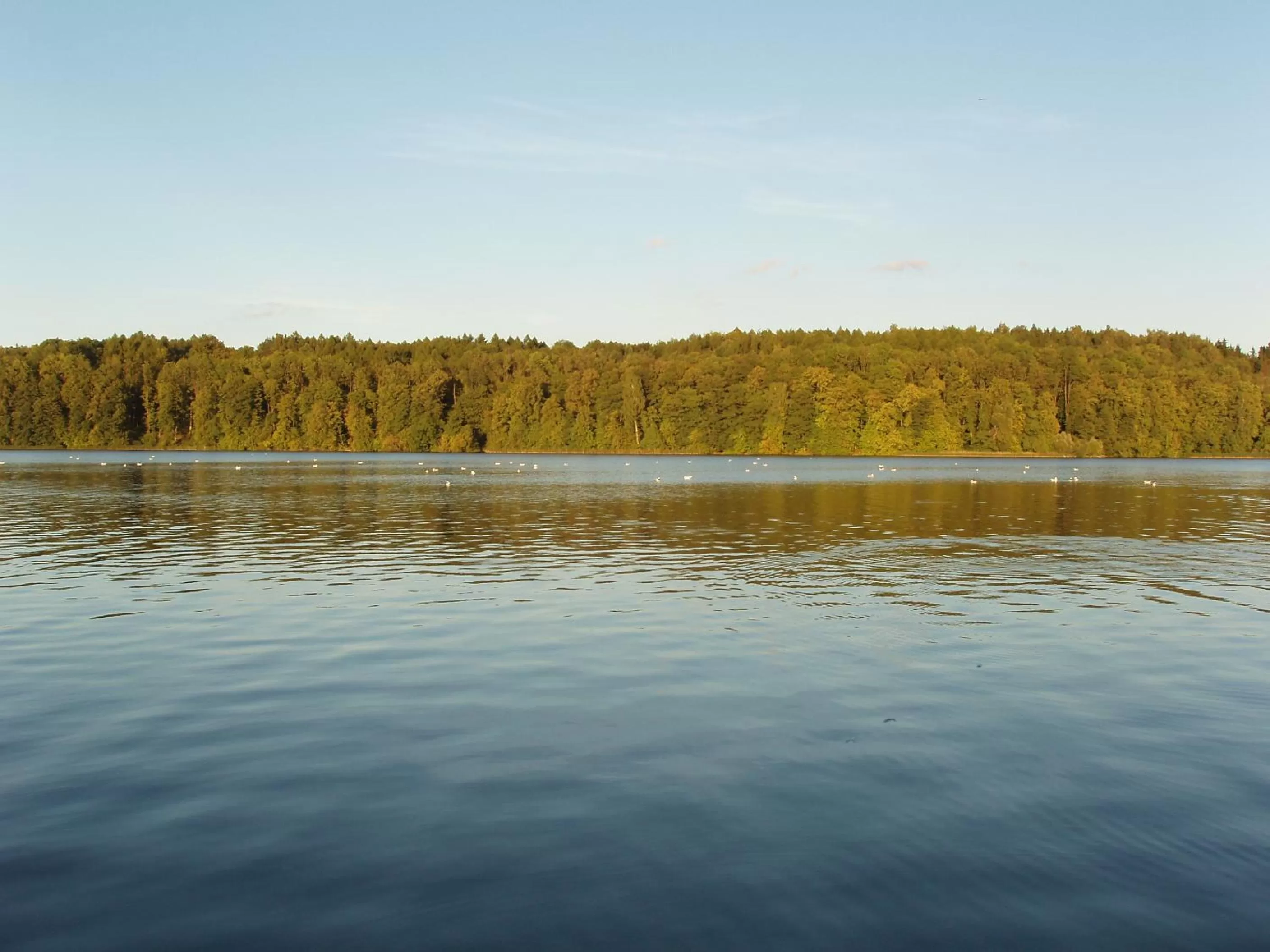 View (from property/room) in Hotel Huszcza