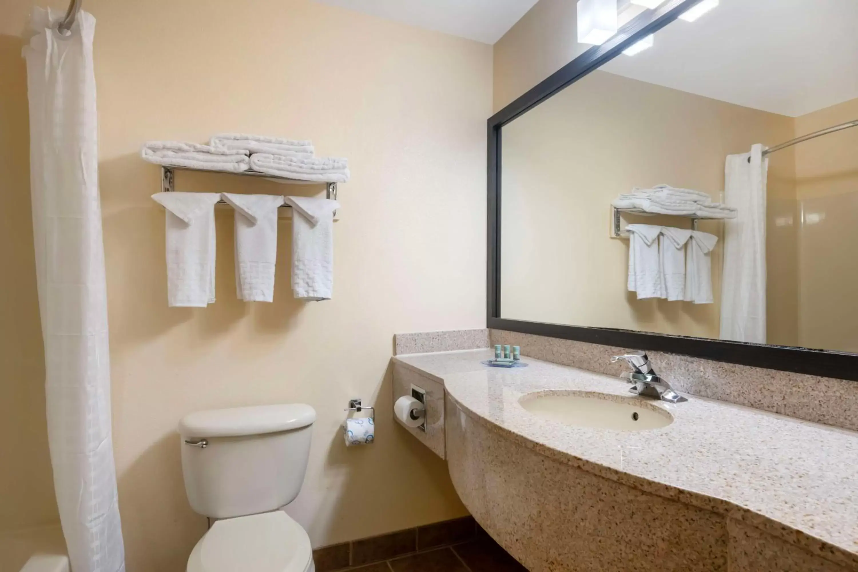 Bathroom in Best Western Laramie Inn & Suites