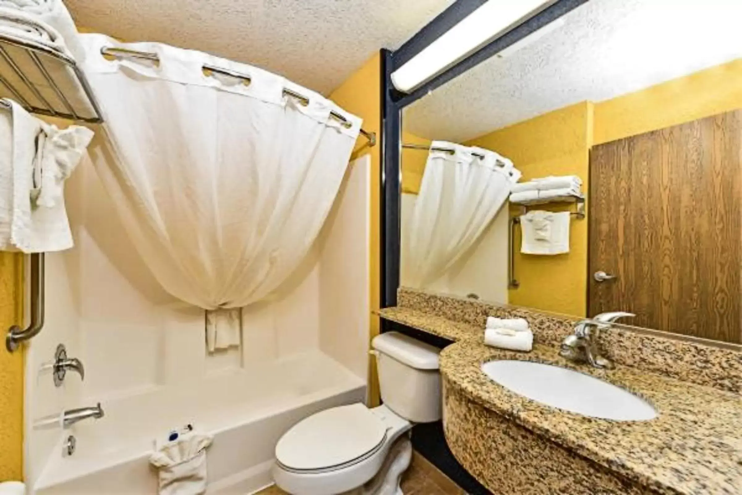 Toilet, Bathroom in Microtel Inn & Suites by Wyndham New Braunfels I-35