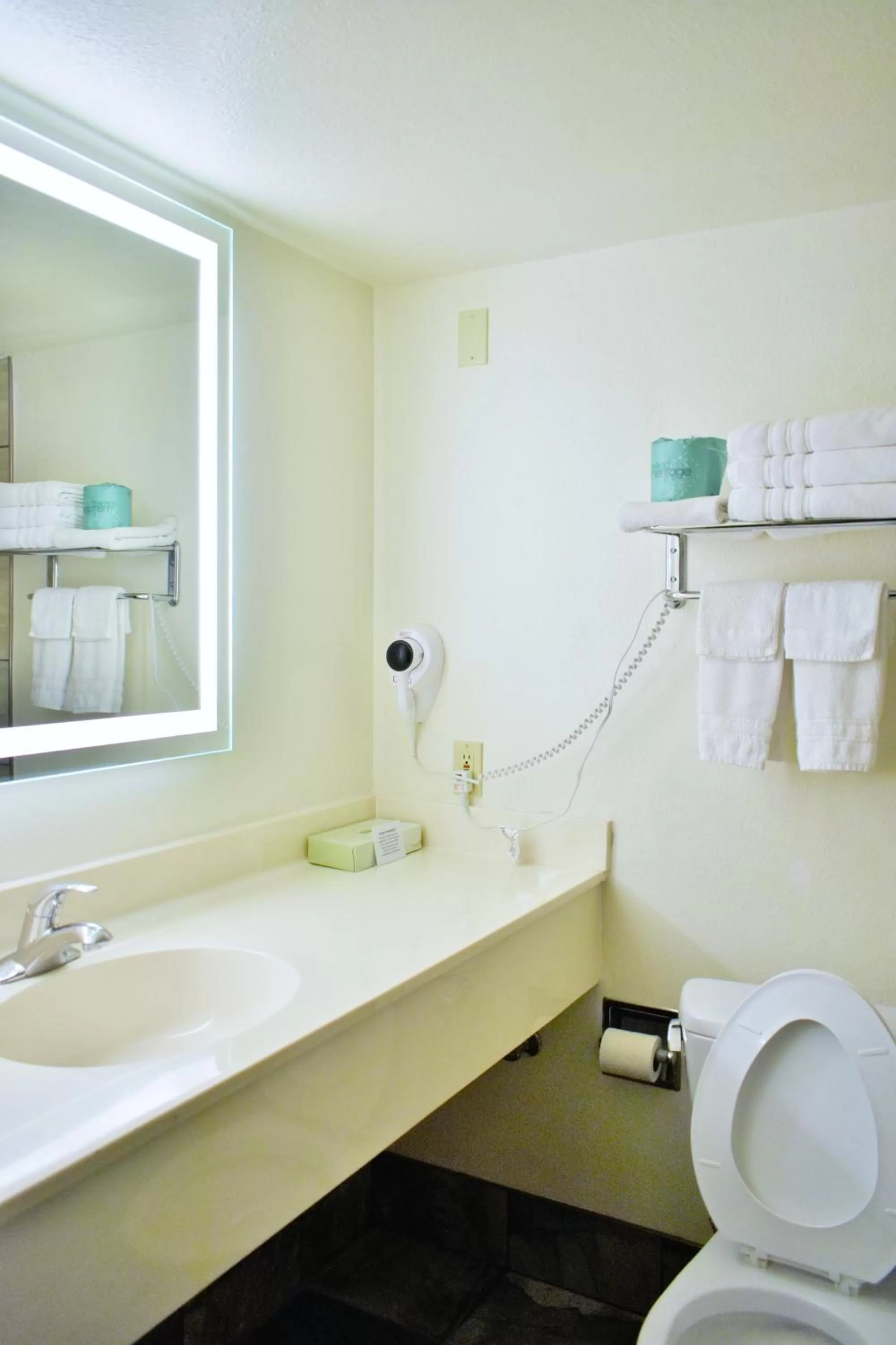 Bathroom in Knights Inn Page