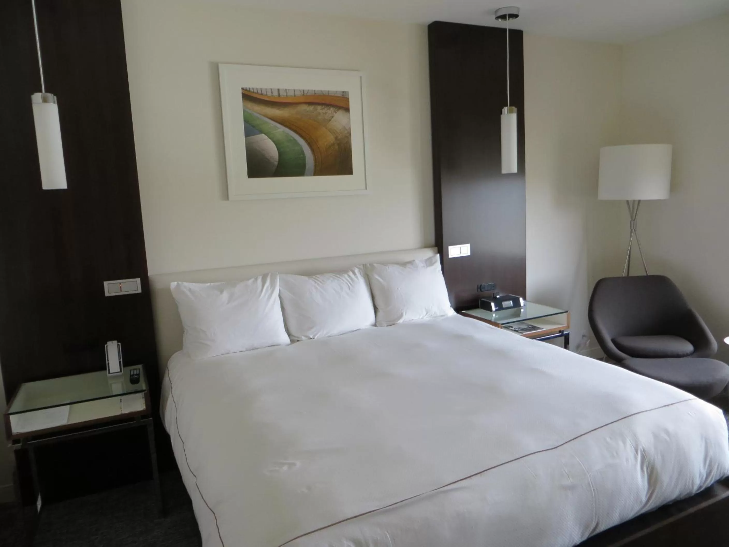 Residence King Studio Mobility Accessible, Non Smoking in The Alexander