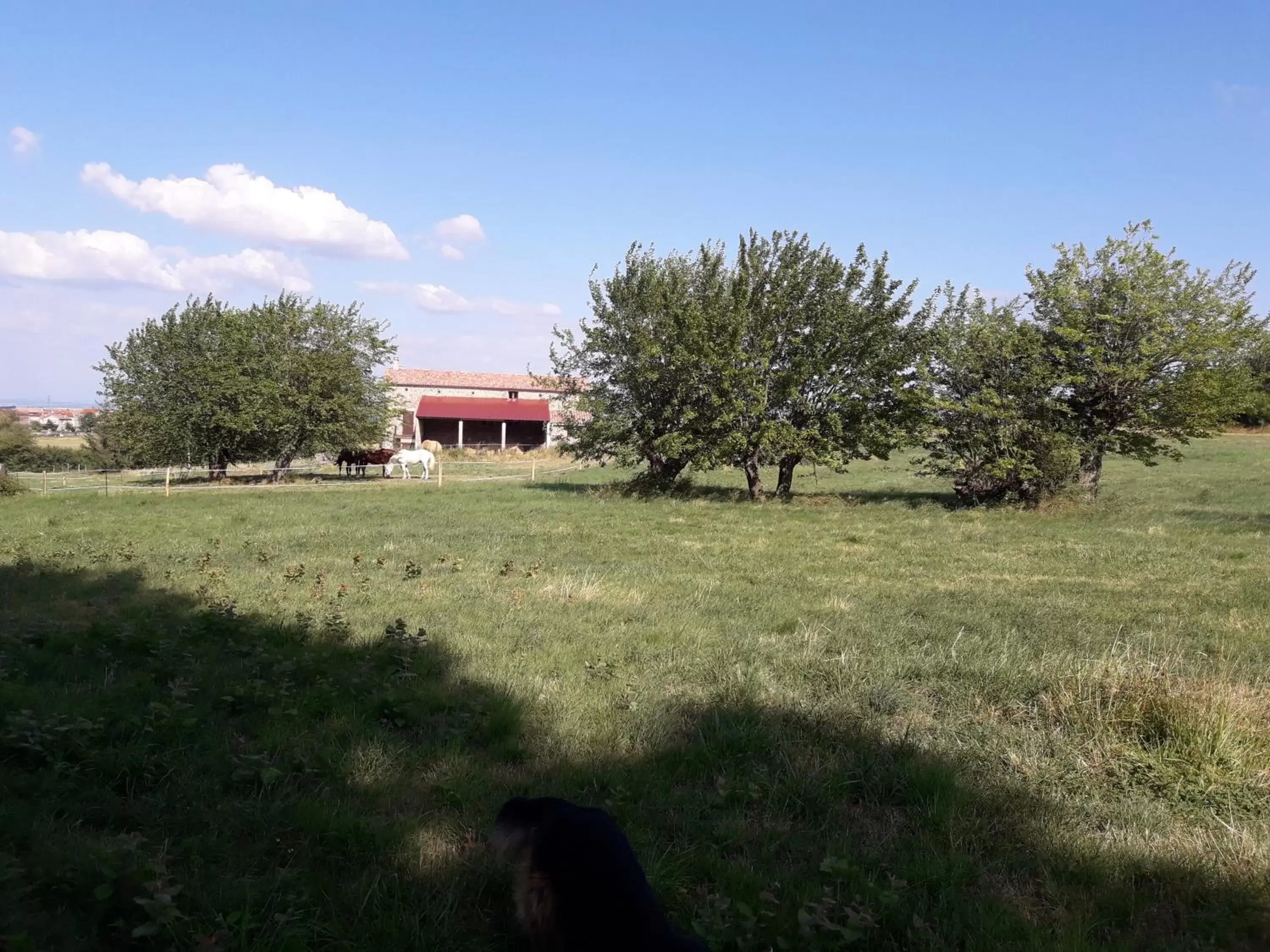 Garden, Property Building in Ferme de la Combe - The Goldy's Farm