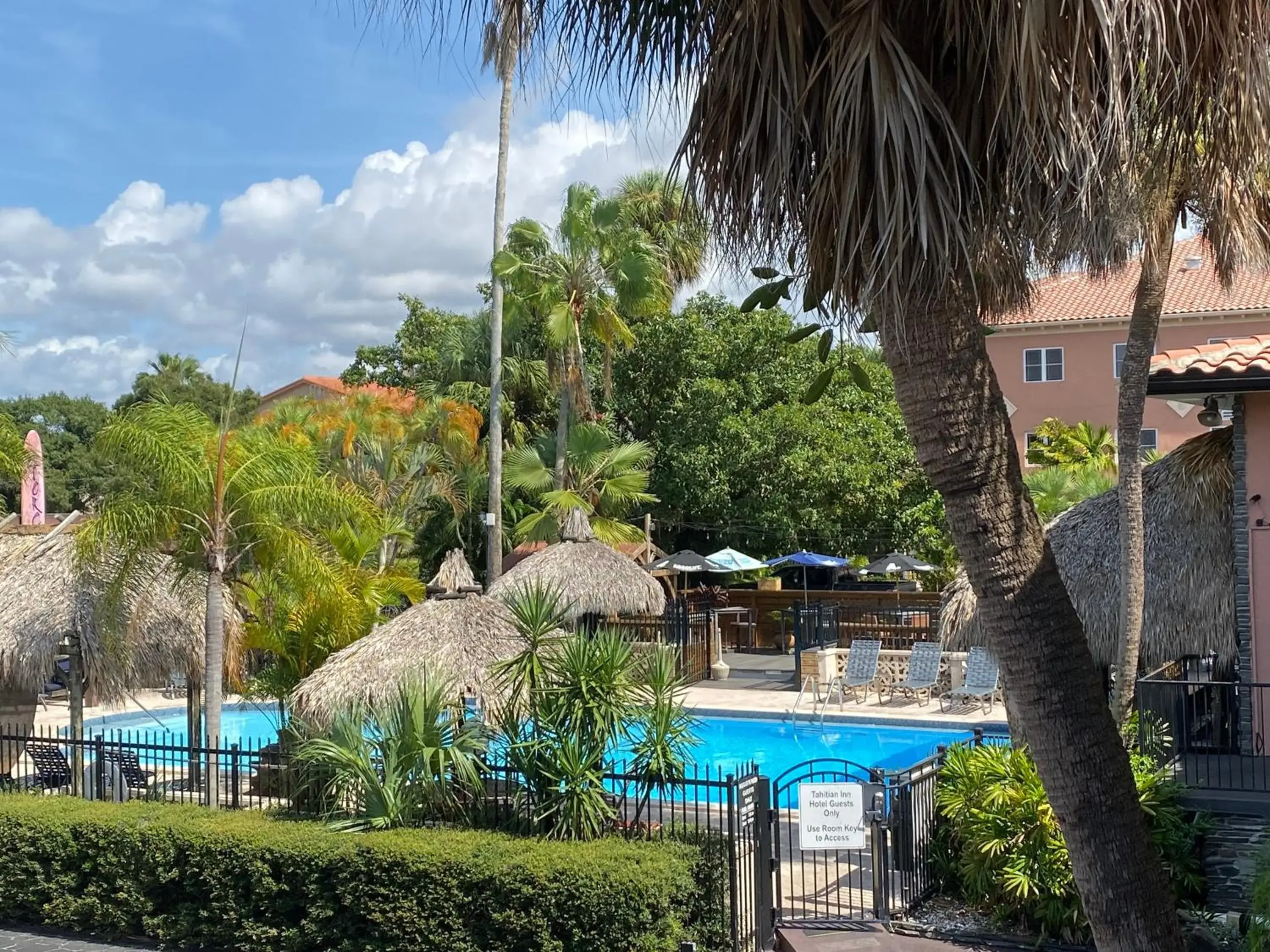 Swimming Pool in Tahitian Inn Boutique Hotel Tampa