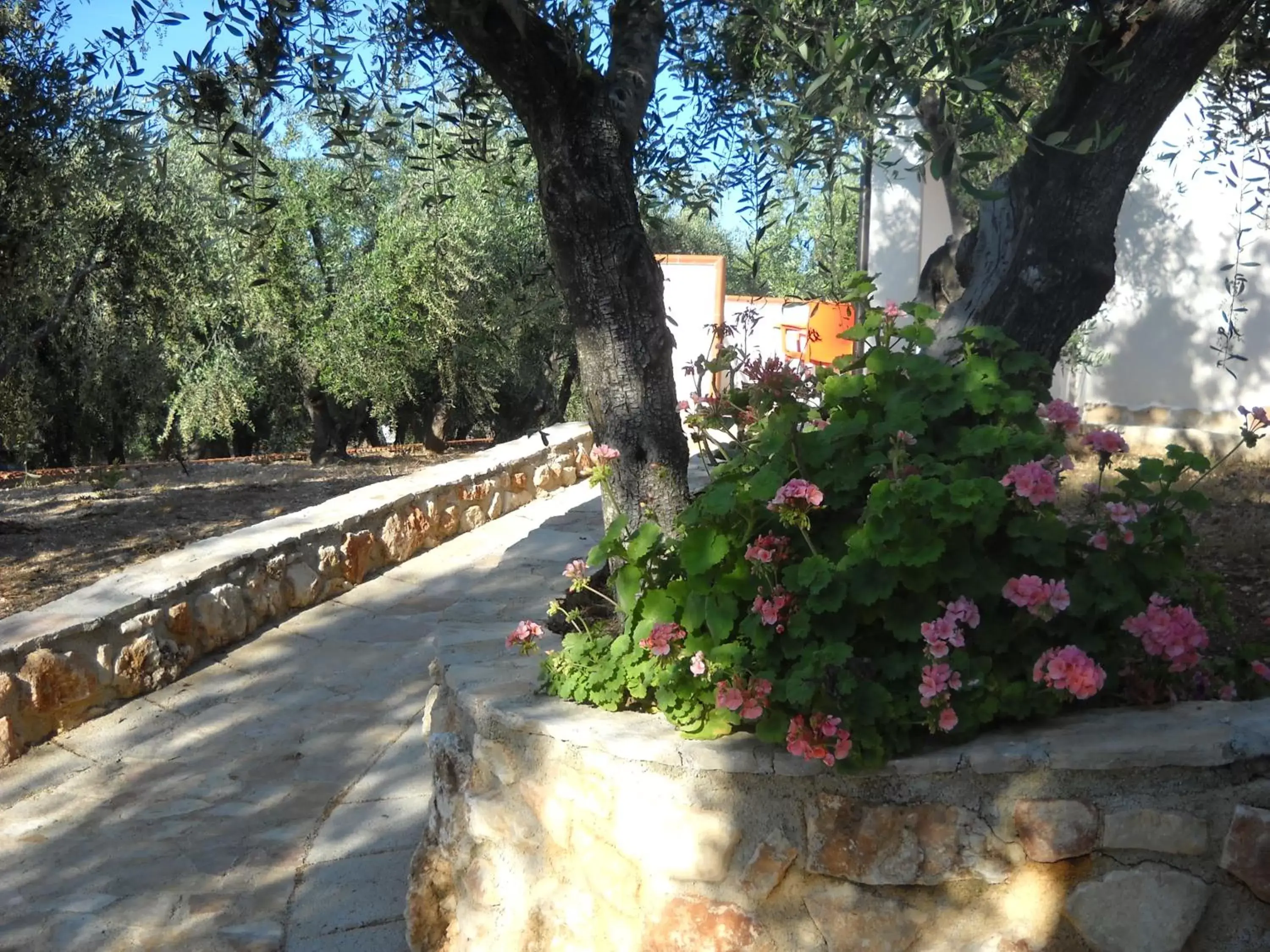 Patio, Garden in Zagare Residence