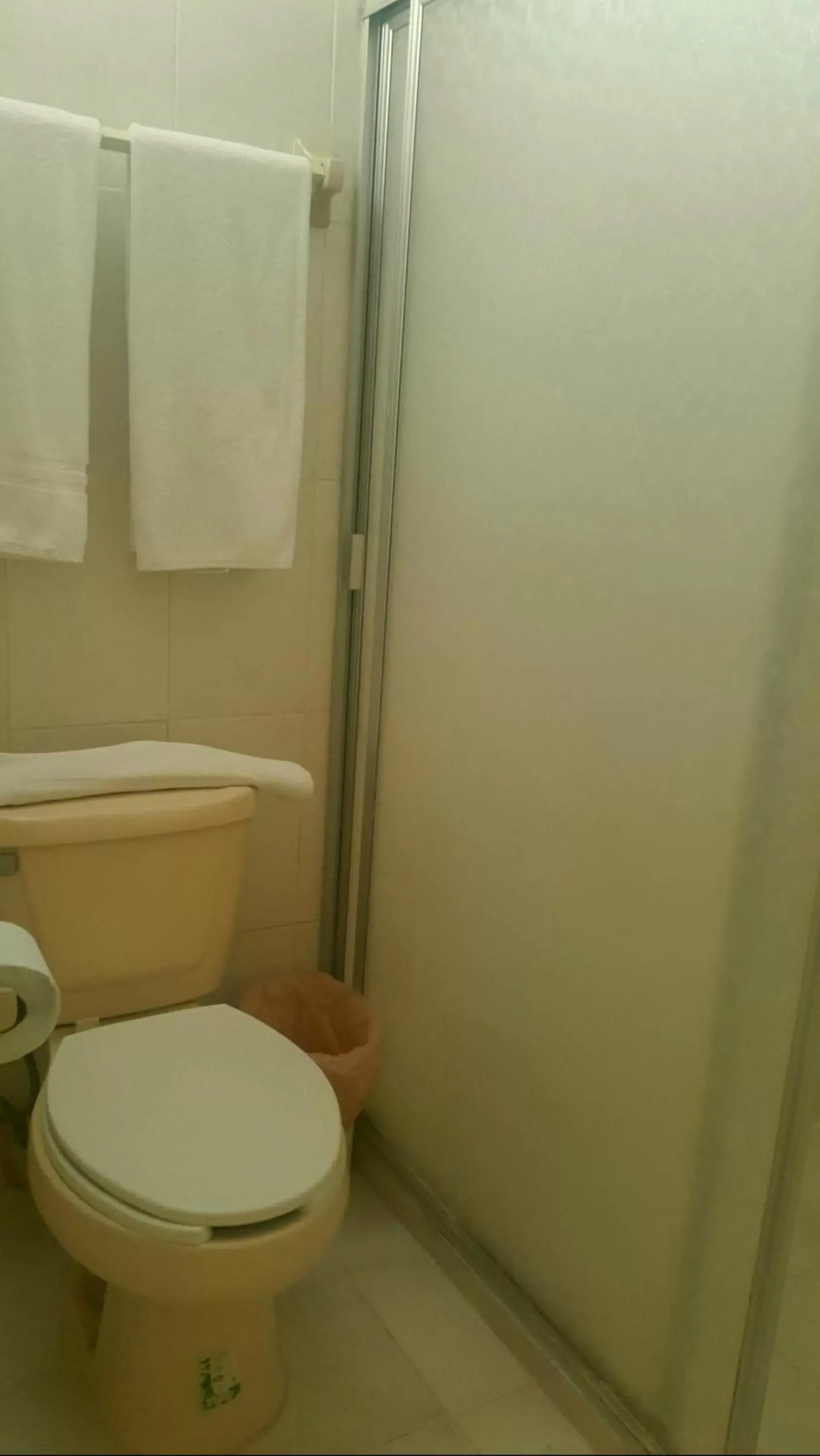 Toilet, Bathroom in Hotel El Marques