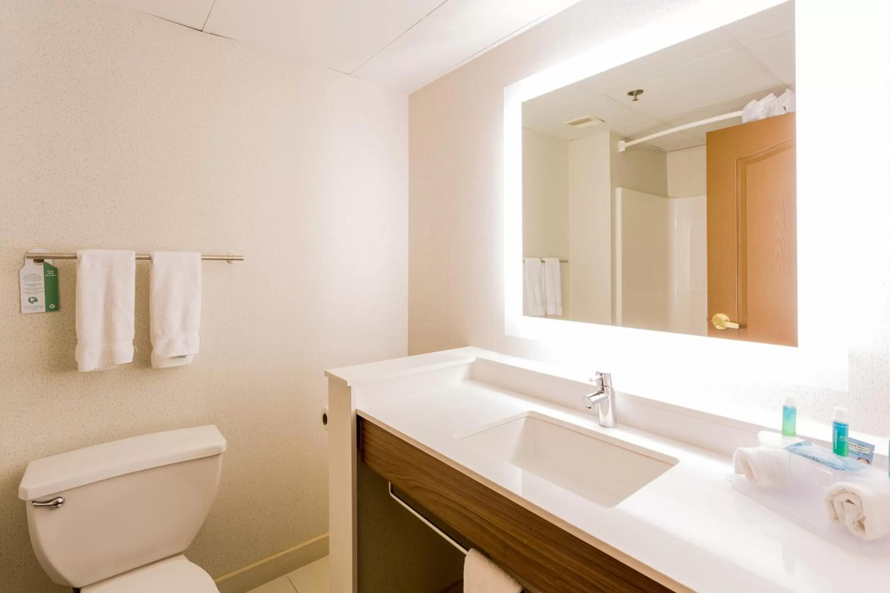 Bathroom in Holiday Inn Express Hotel & Suites Reading, an IHG Hotel