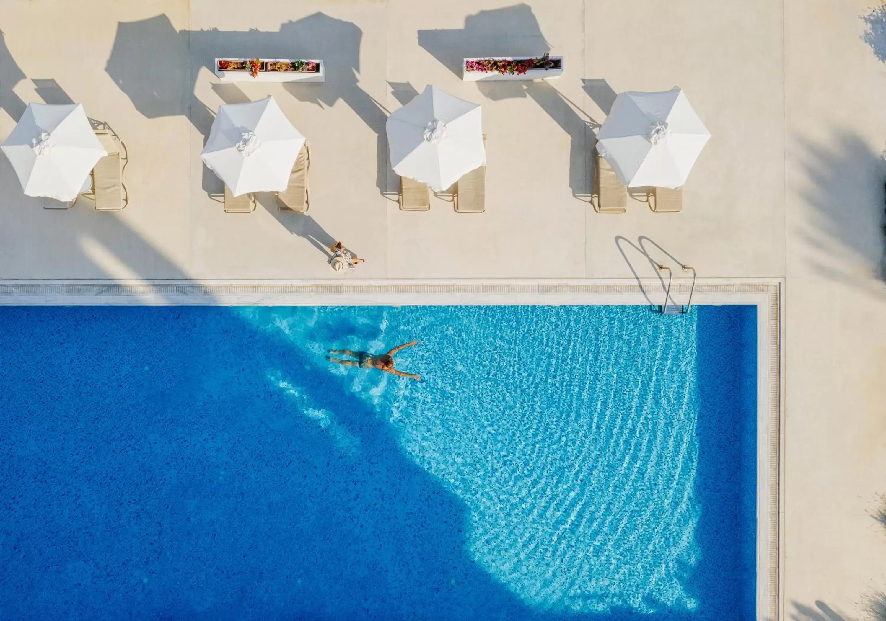 Swimming pool, Pool View in Louis Imperial Beach