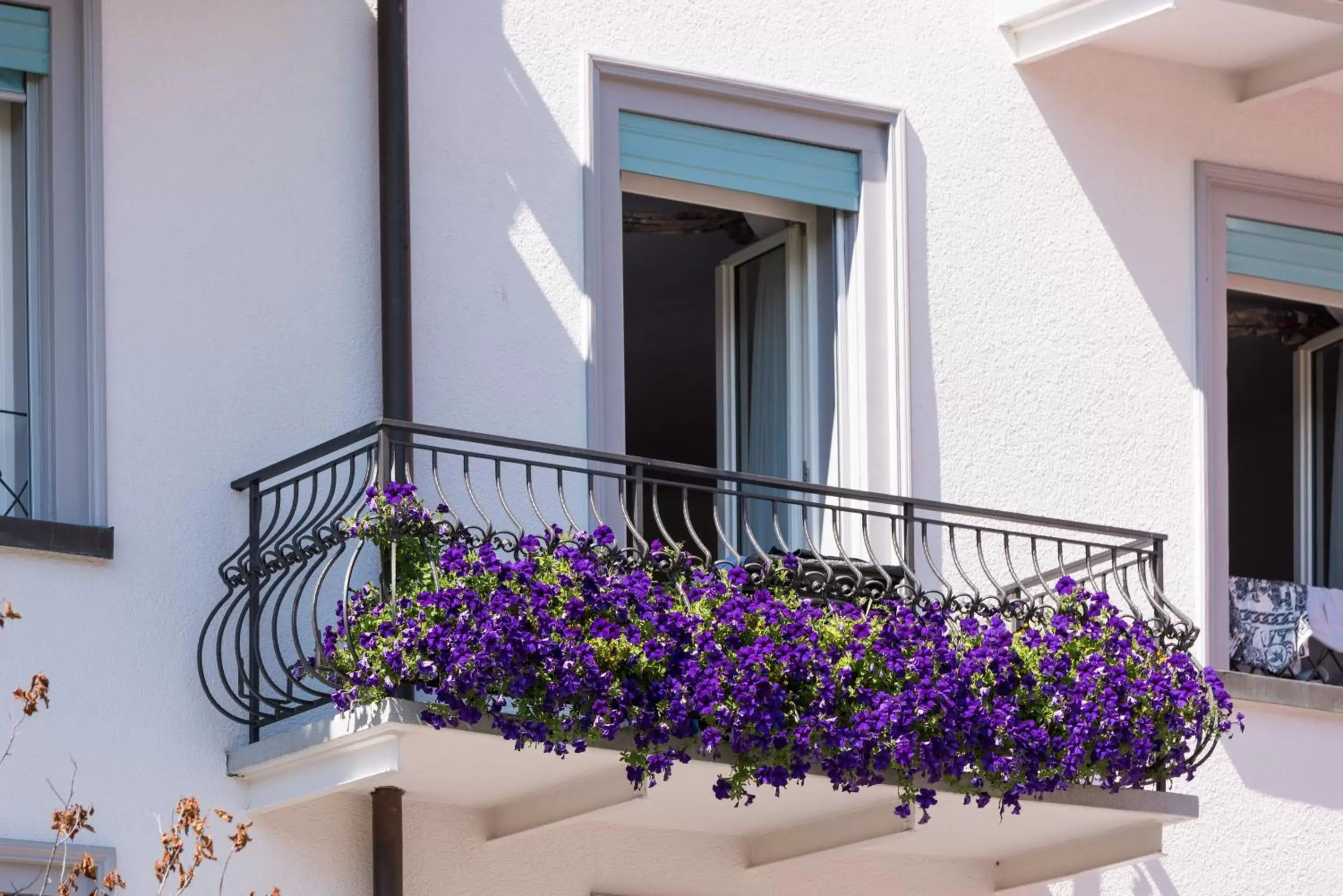 Balcony/Terrace in Hotel Du Nord