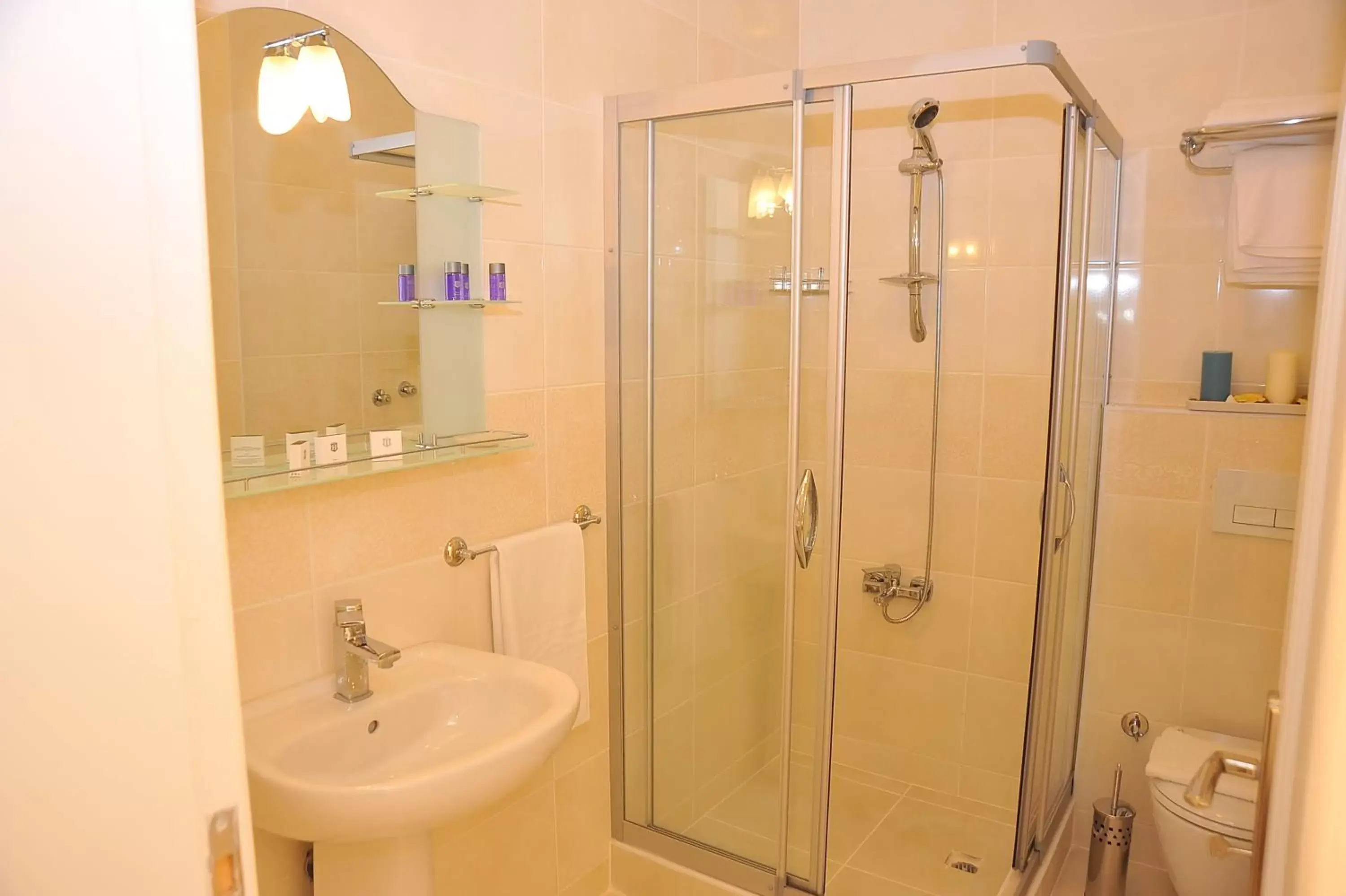 Shower, Bathroom in Dualis Hotel